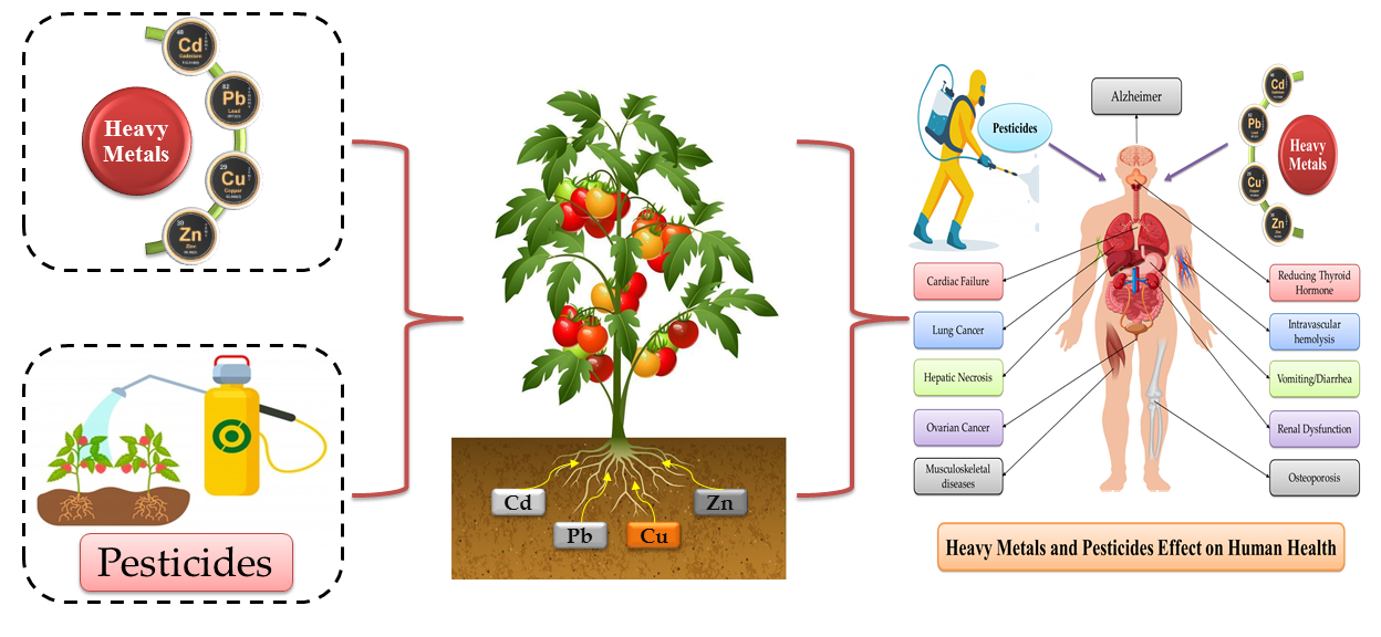Toxics Free FullText Heavy Metals and Pesticides Toxicity in
