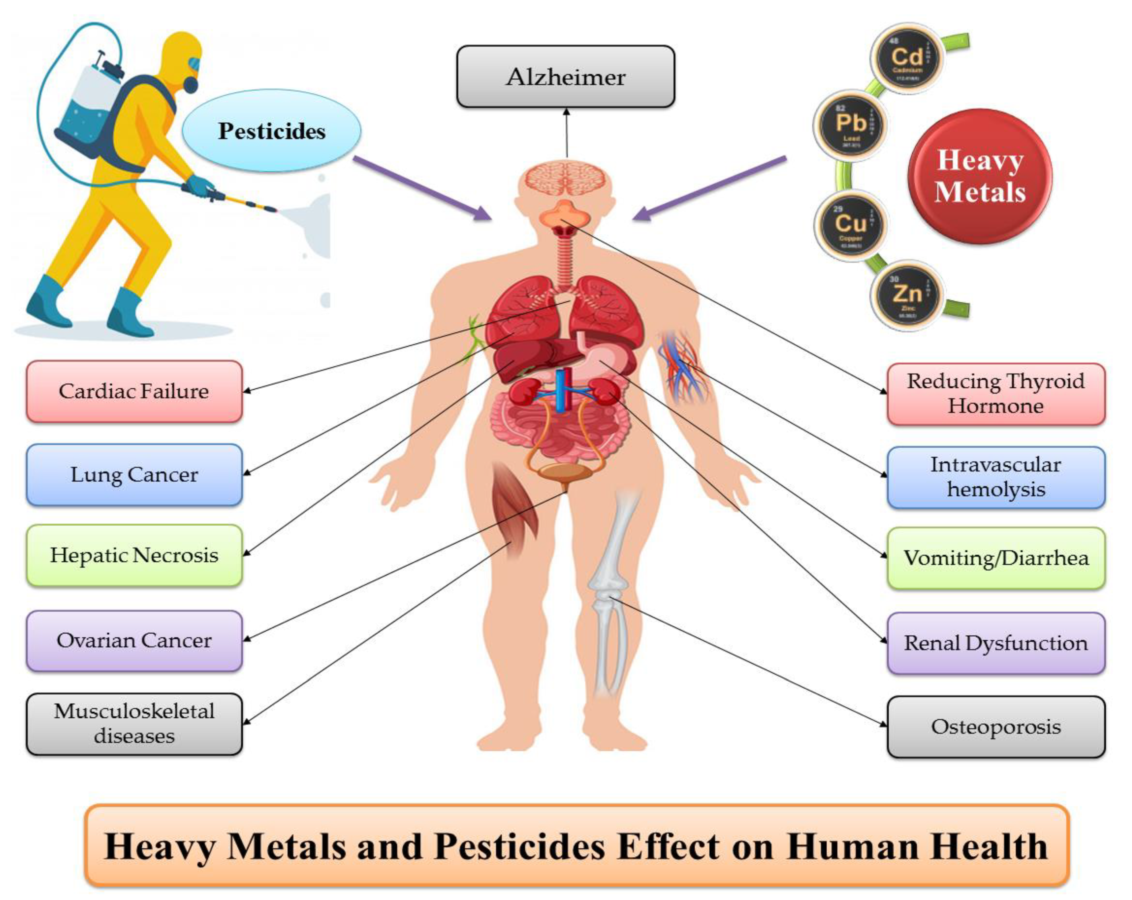 symptoms of heavy metal toxicity in the body