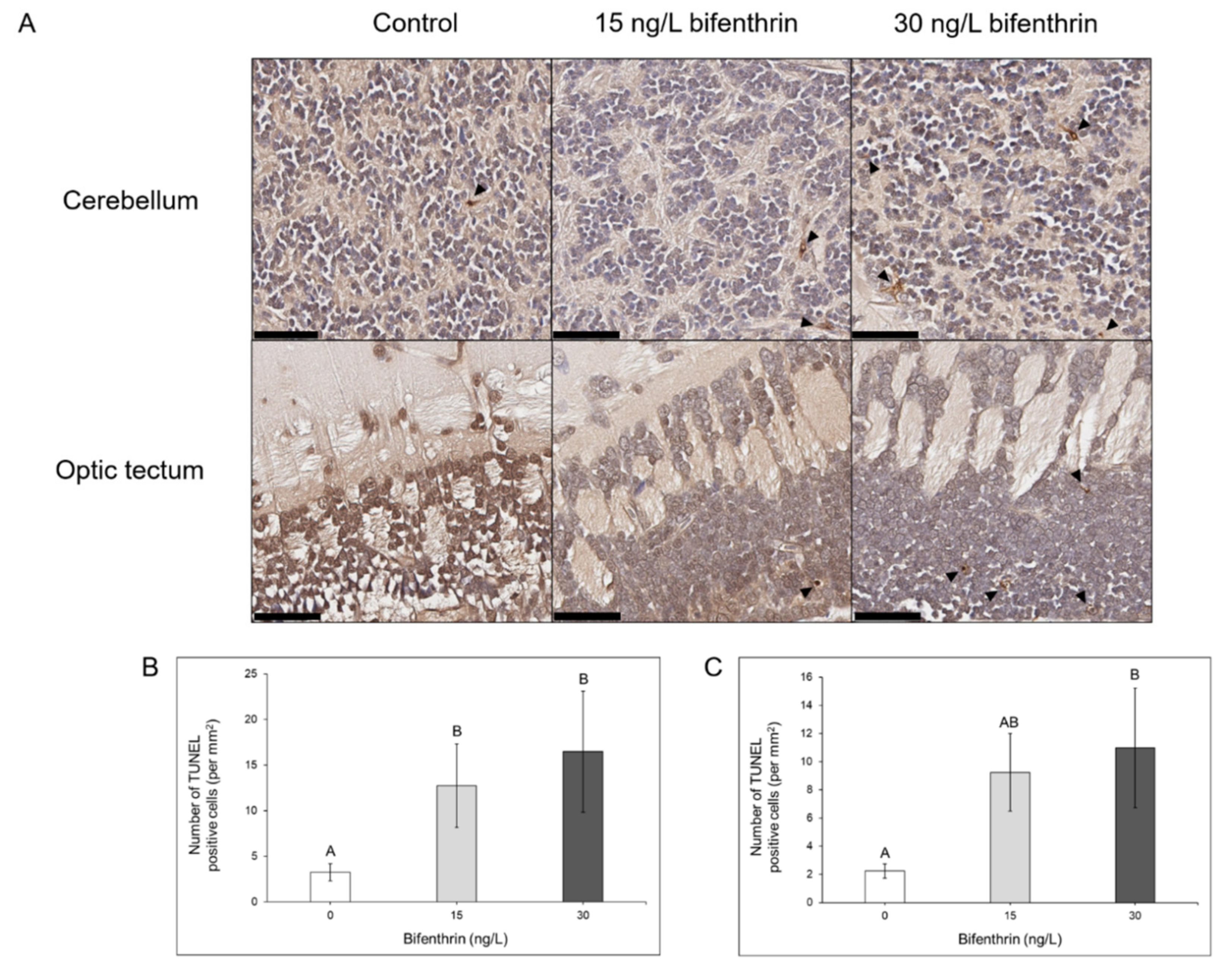 Toxics 09 00048 g003 Toxics 09 00048 g003