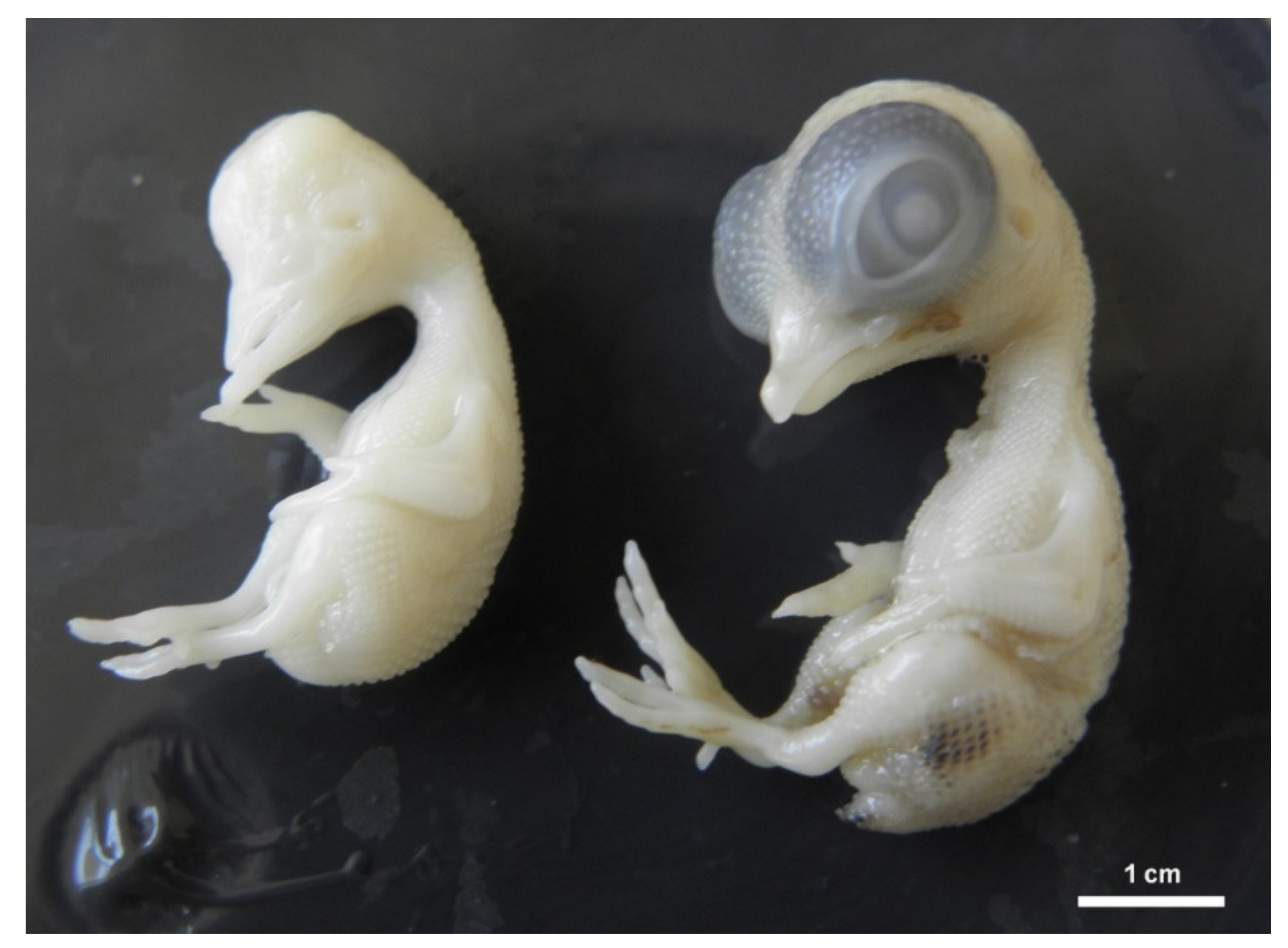 Toxics 09 00055 g003 Toxics 09 00055 g003