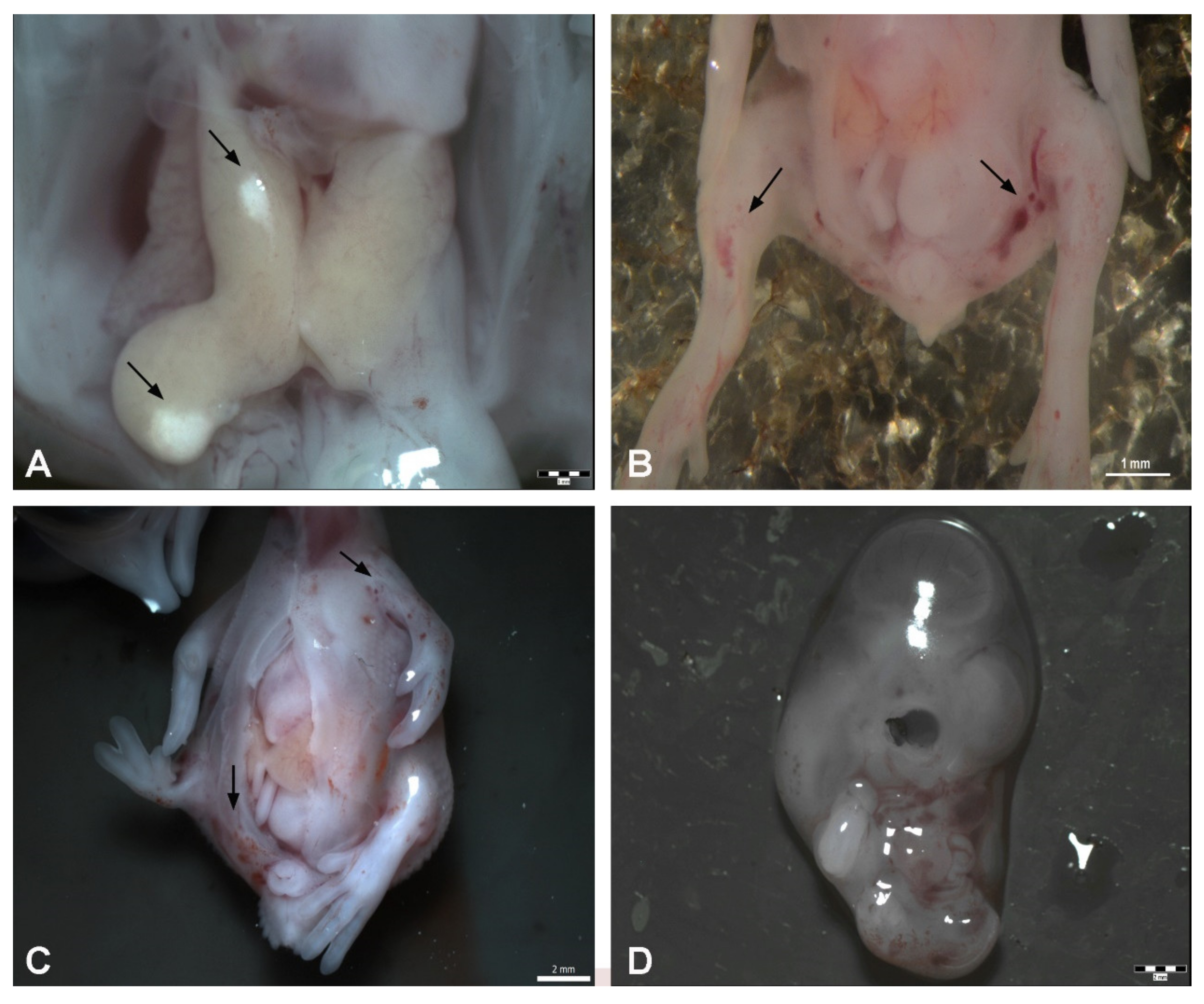 Toxics 09 00055 g004 Toxics 09 00055 g004