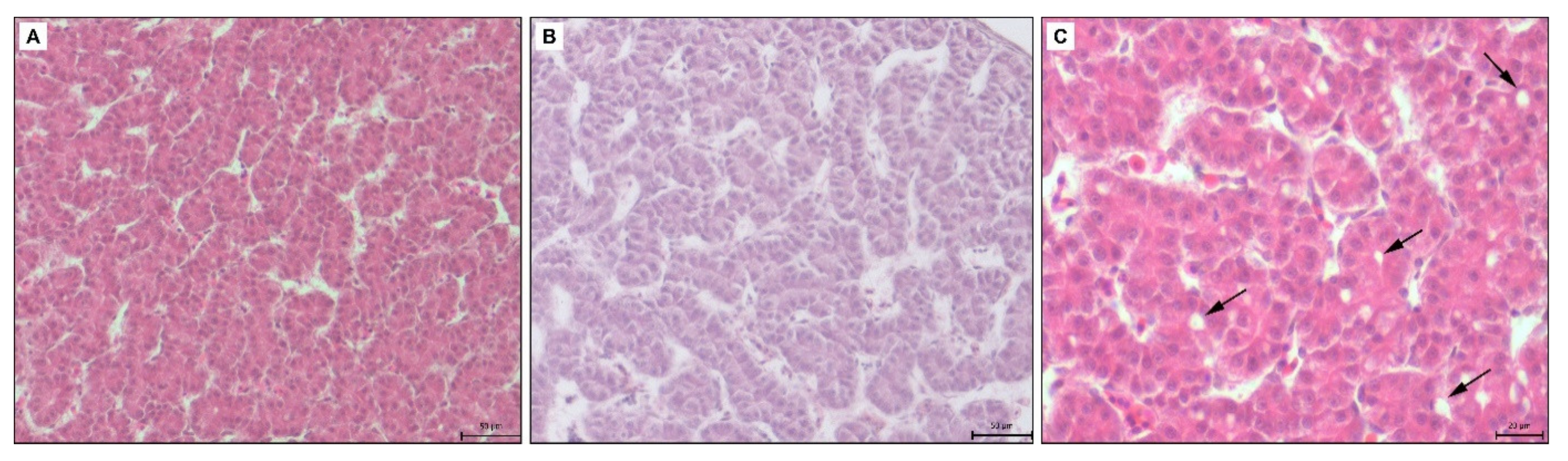 Toxics 09 00055 g005 Toxics 09 00055 g005