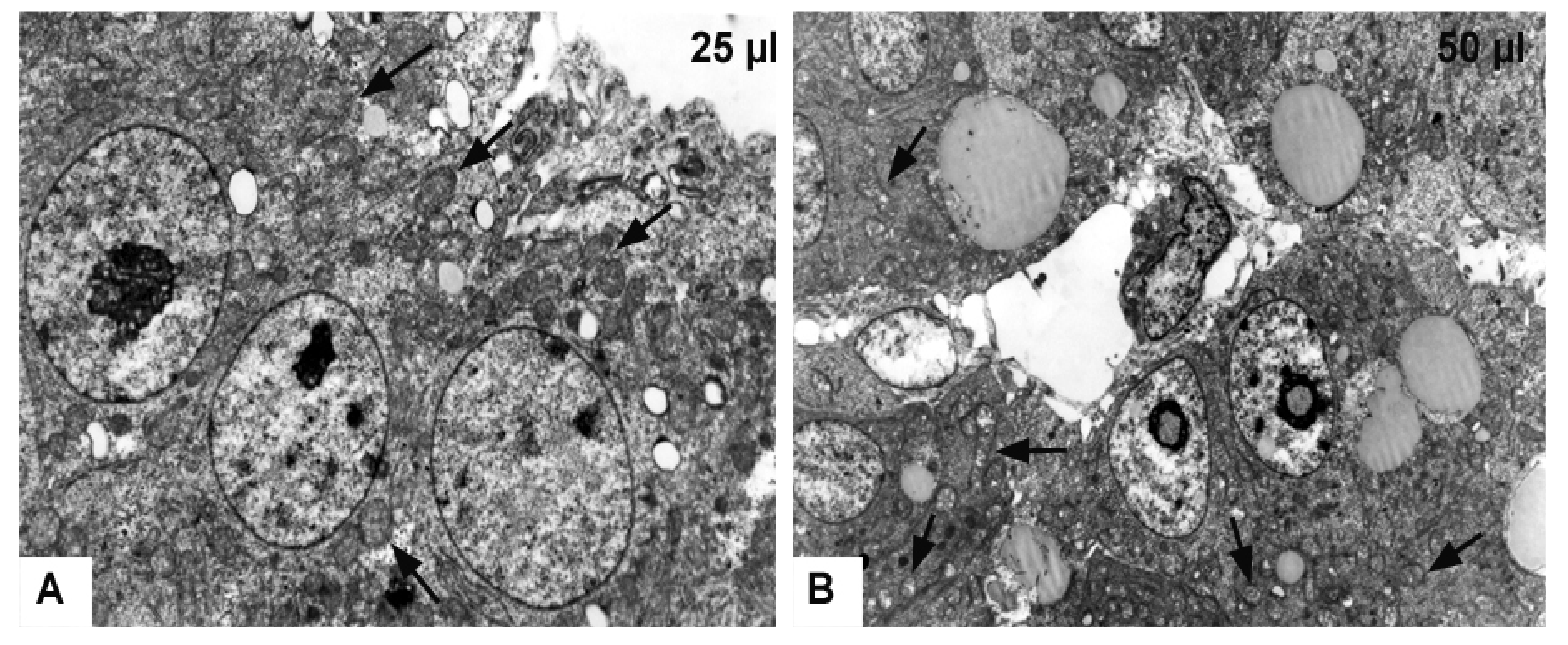 Toxics 09 00055 g008 Toxics 09 00055 g008