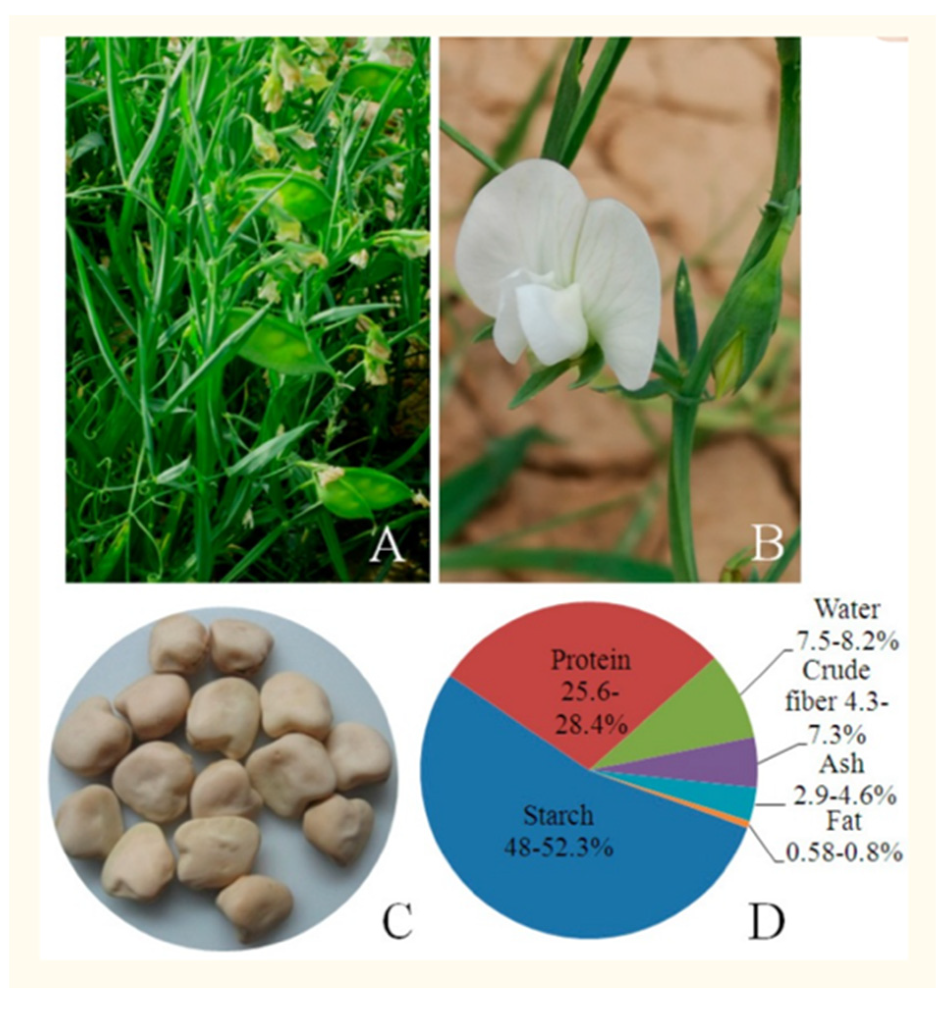 Toxics 09 00057 g002