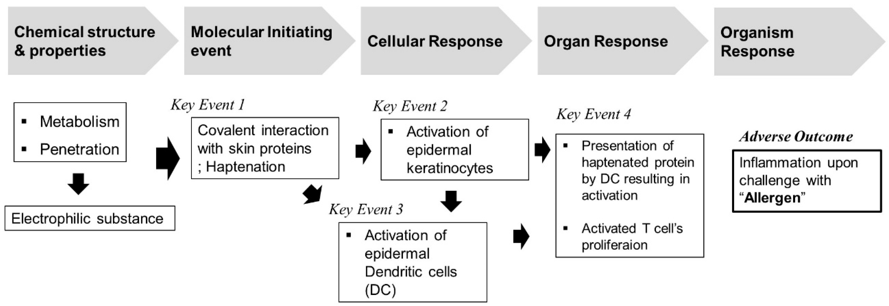 Toxics 09 00062 g005 Toxics 09 00062 g005