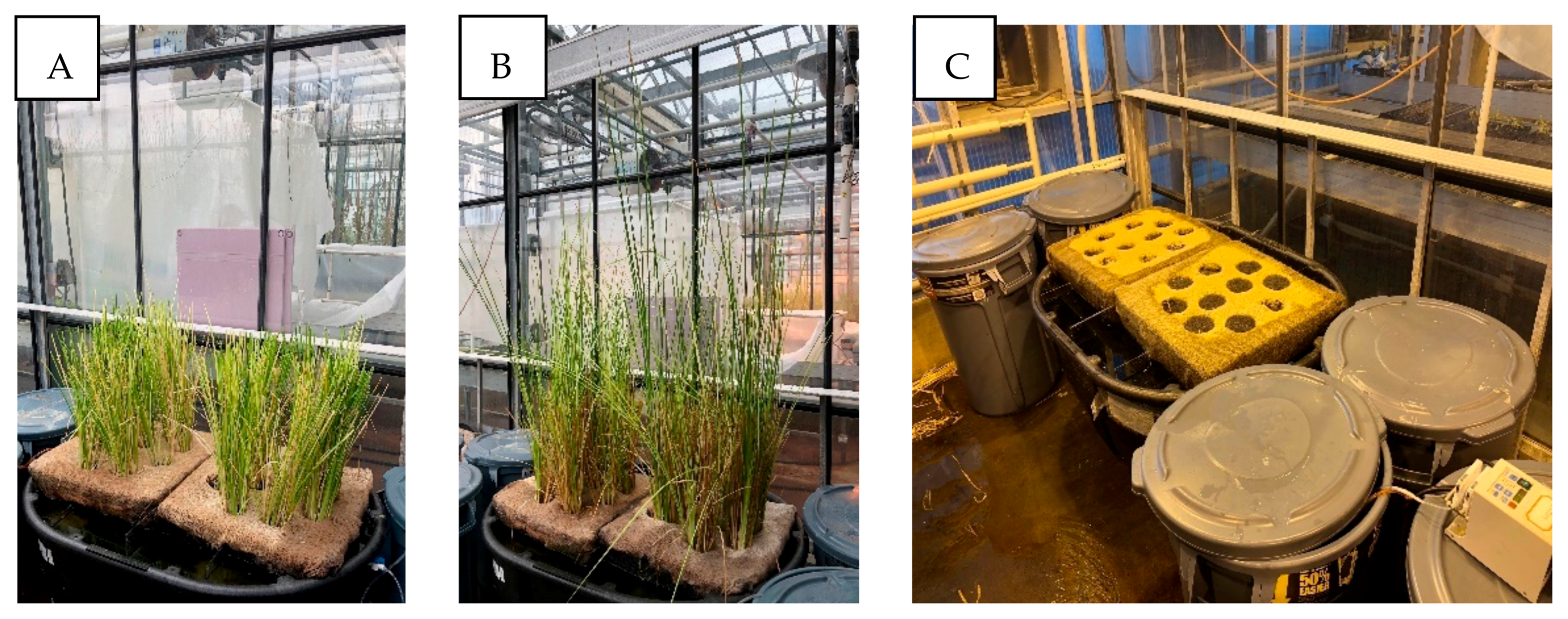 Toxics 09 00084 g002