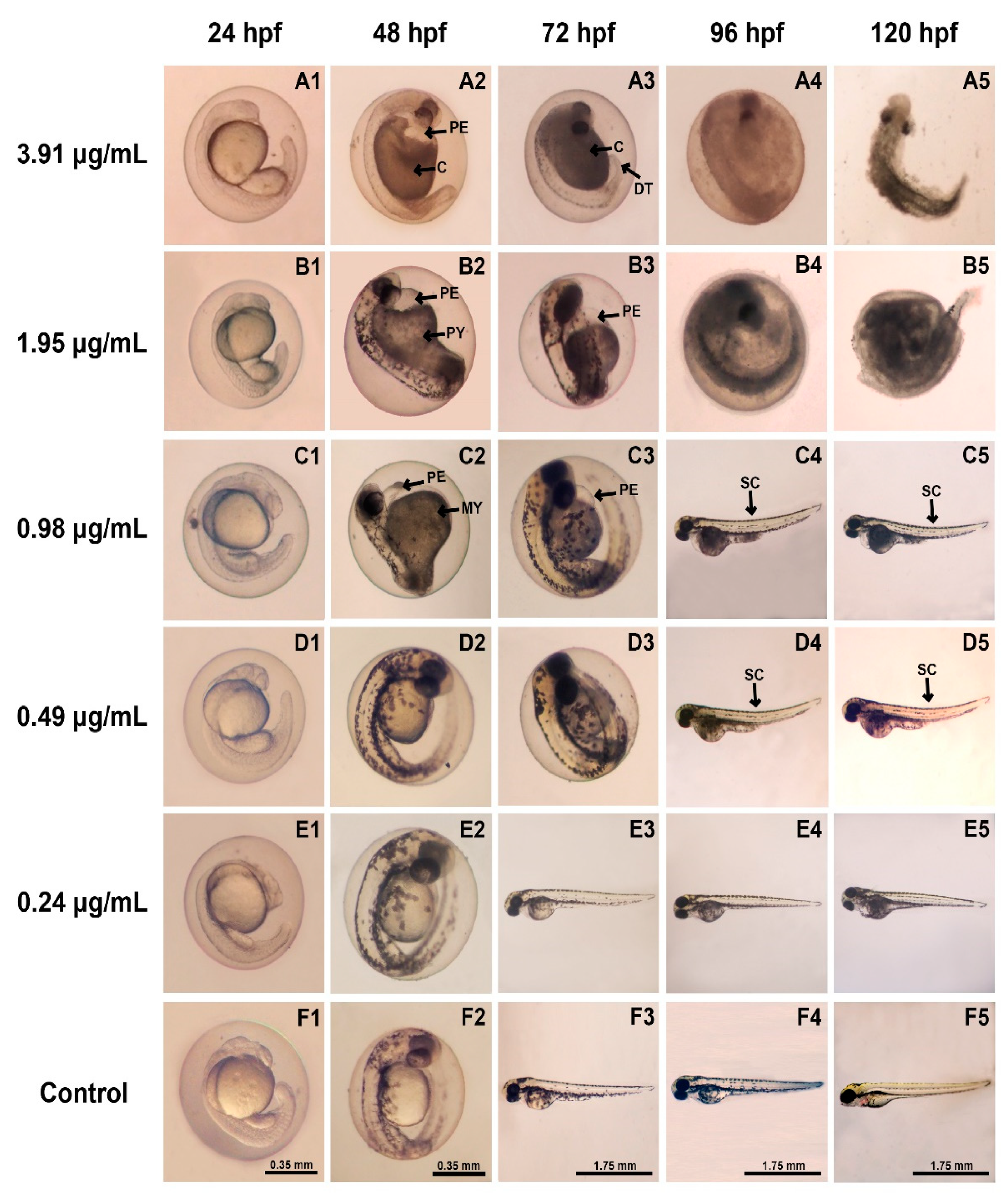 Toxics 09 00102 g004
