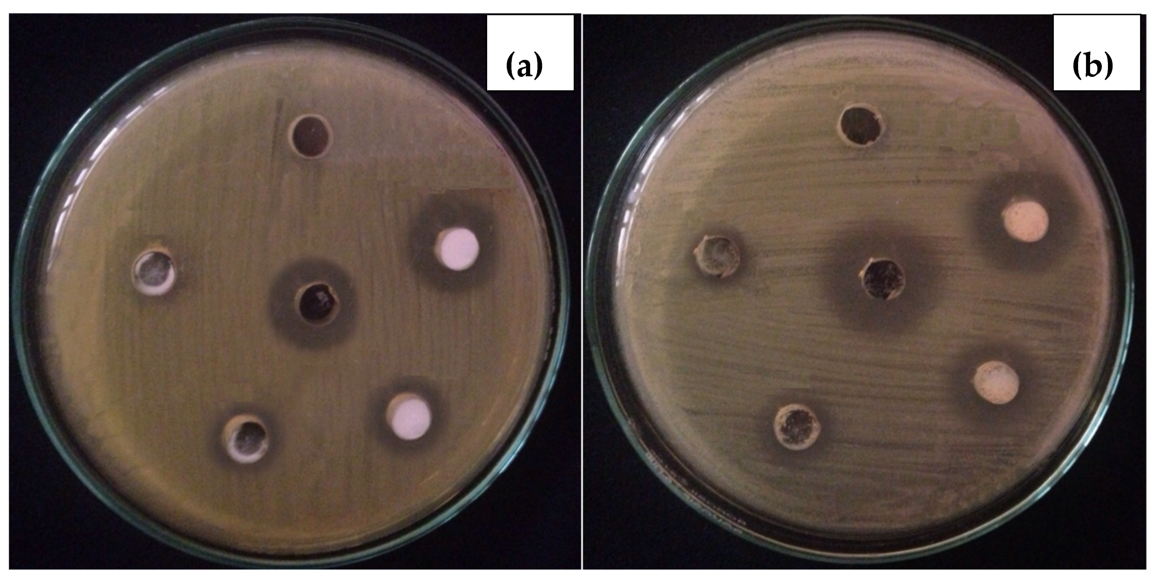 Toxics 09 00105 g005 Toxics 09 00105 g005