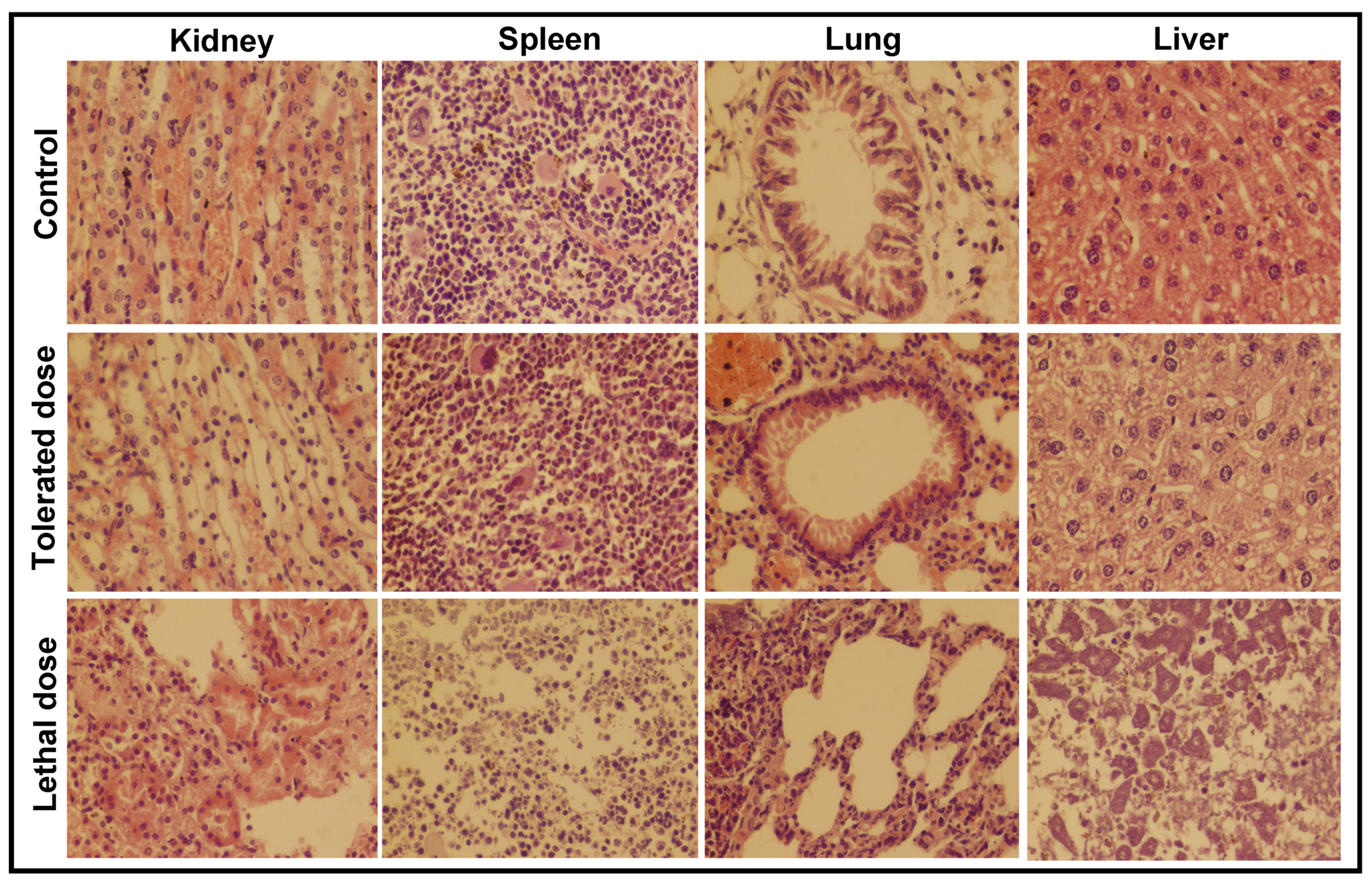 Toxics 09 00105 g007 Toxics 09 00105 g007