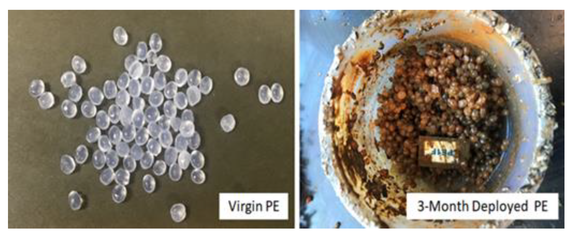 Toxics 09 00106 g007 Toxics 09 00106 g007