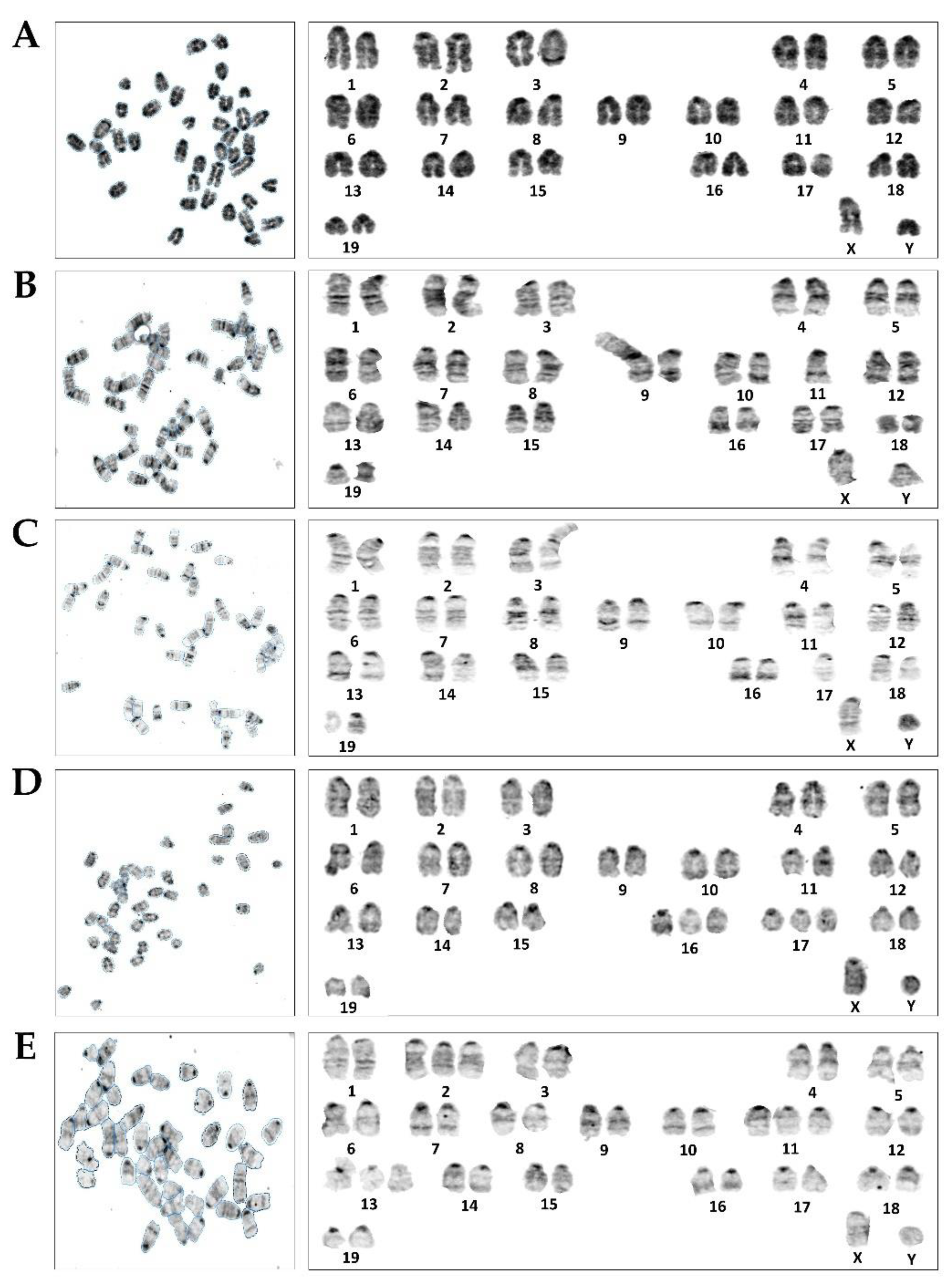Toxics 09 00107 g002
