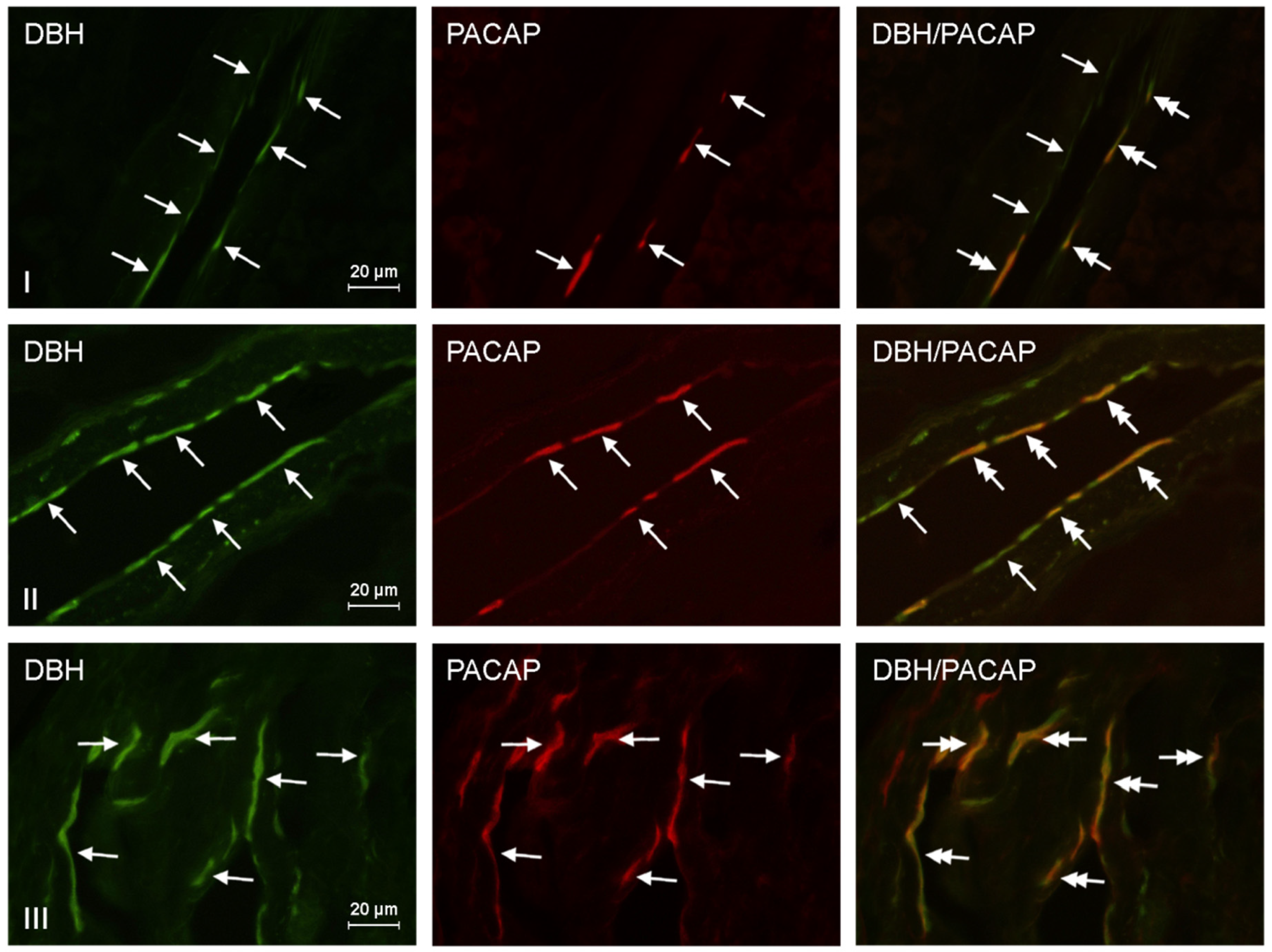 Toxics 09 00110 g001