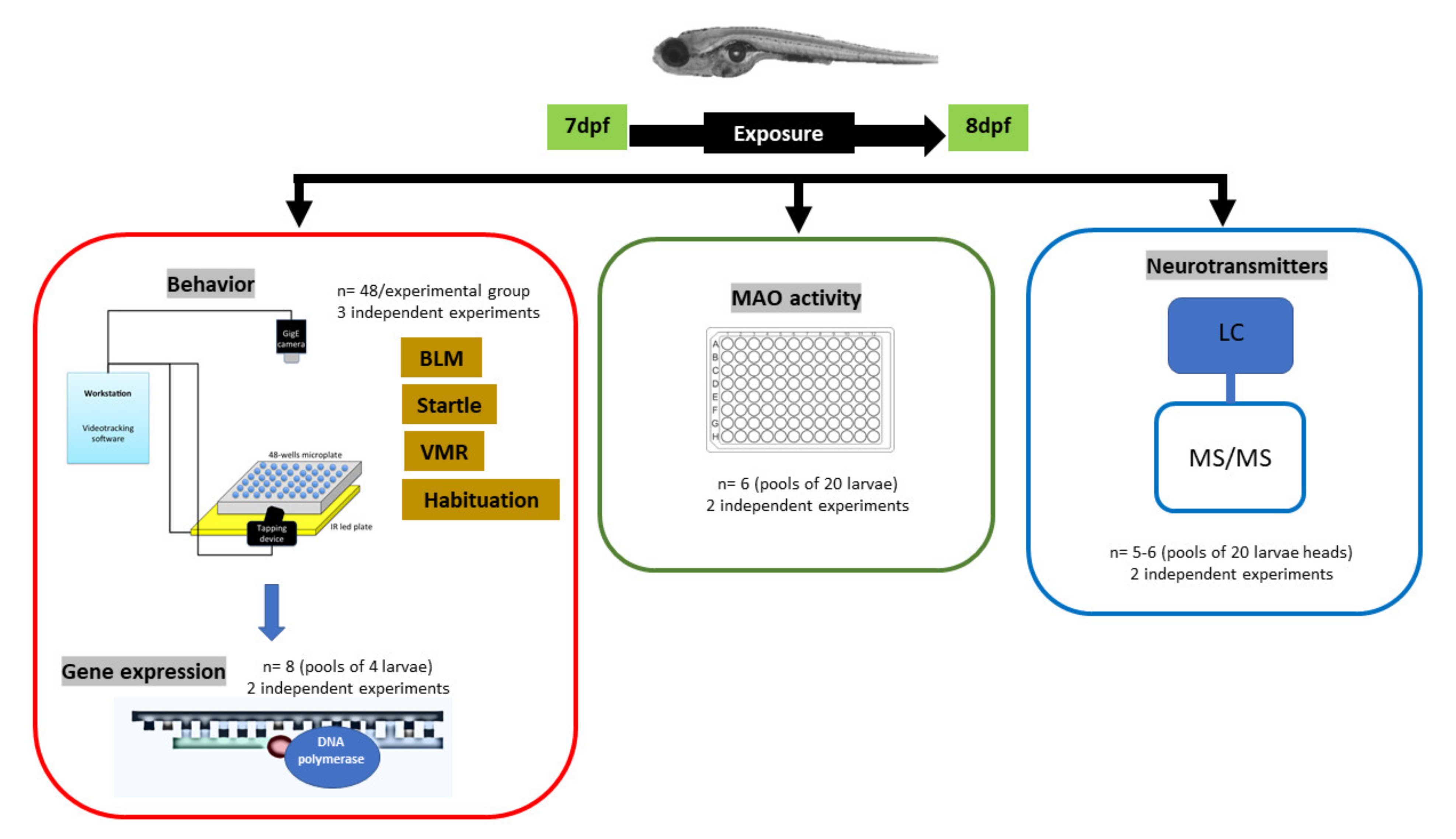 Toxics 09 00118 g001 Toxics 09 00118 g001