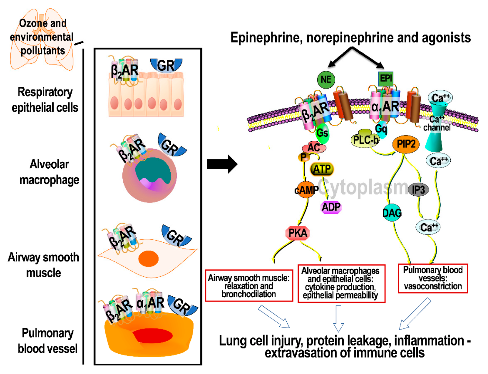 Toxics 09 00132 g002