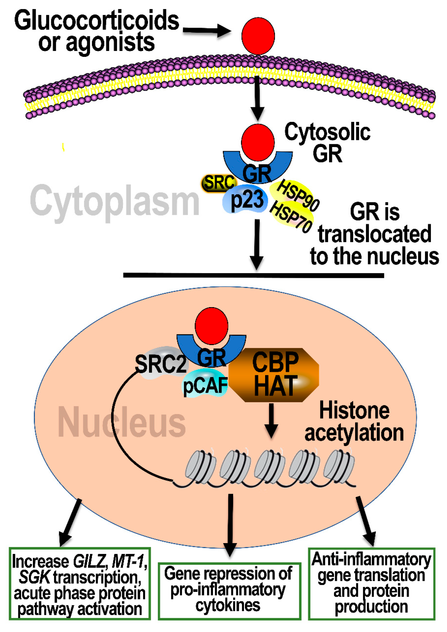 Toxics 09 00132 g003