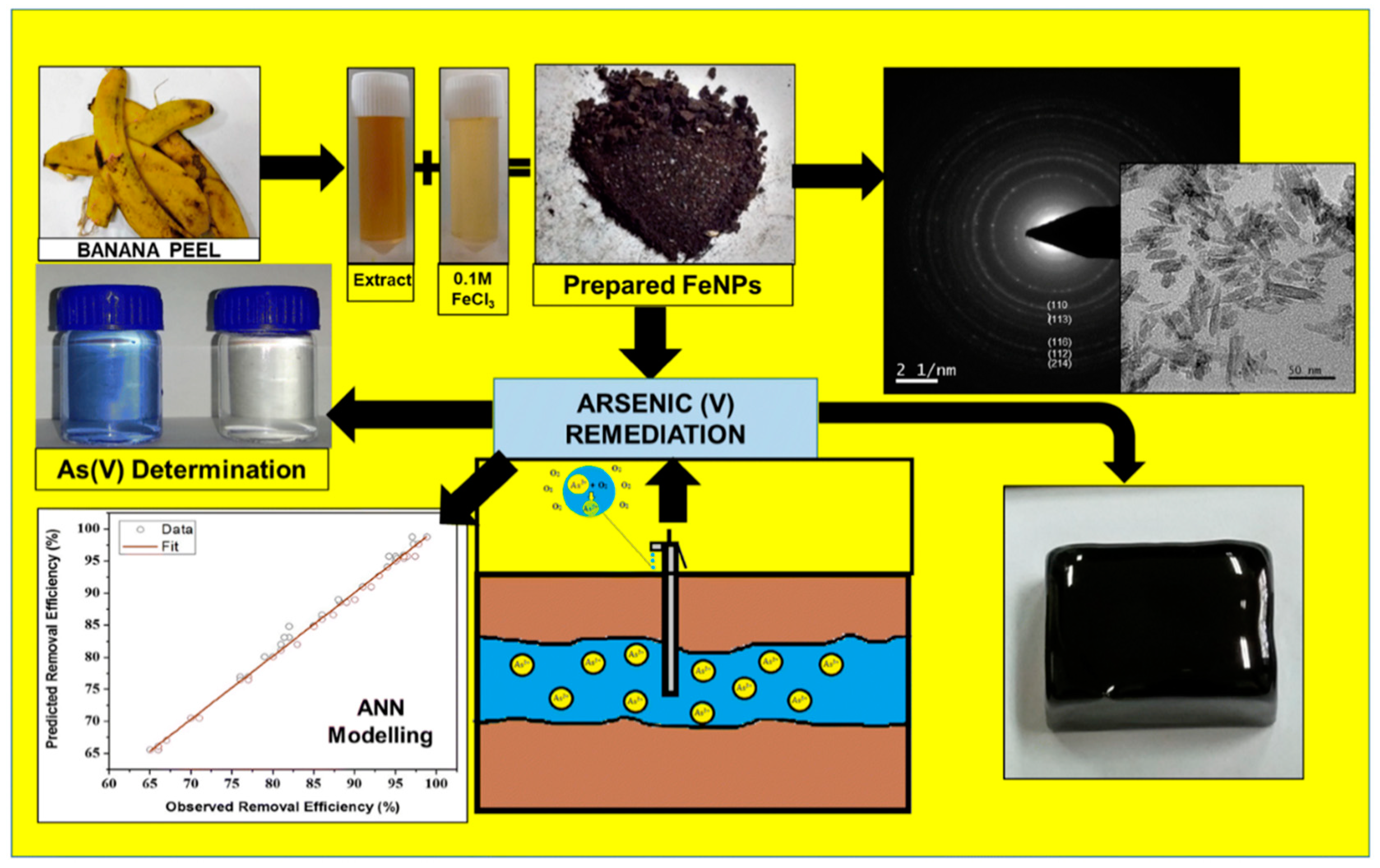 Toxics 09 00143 g007