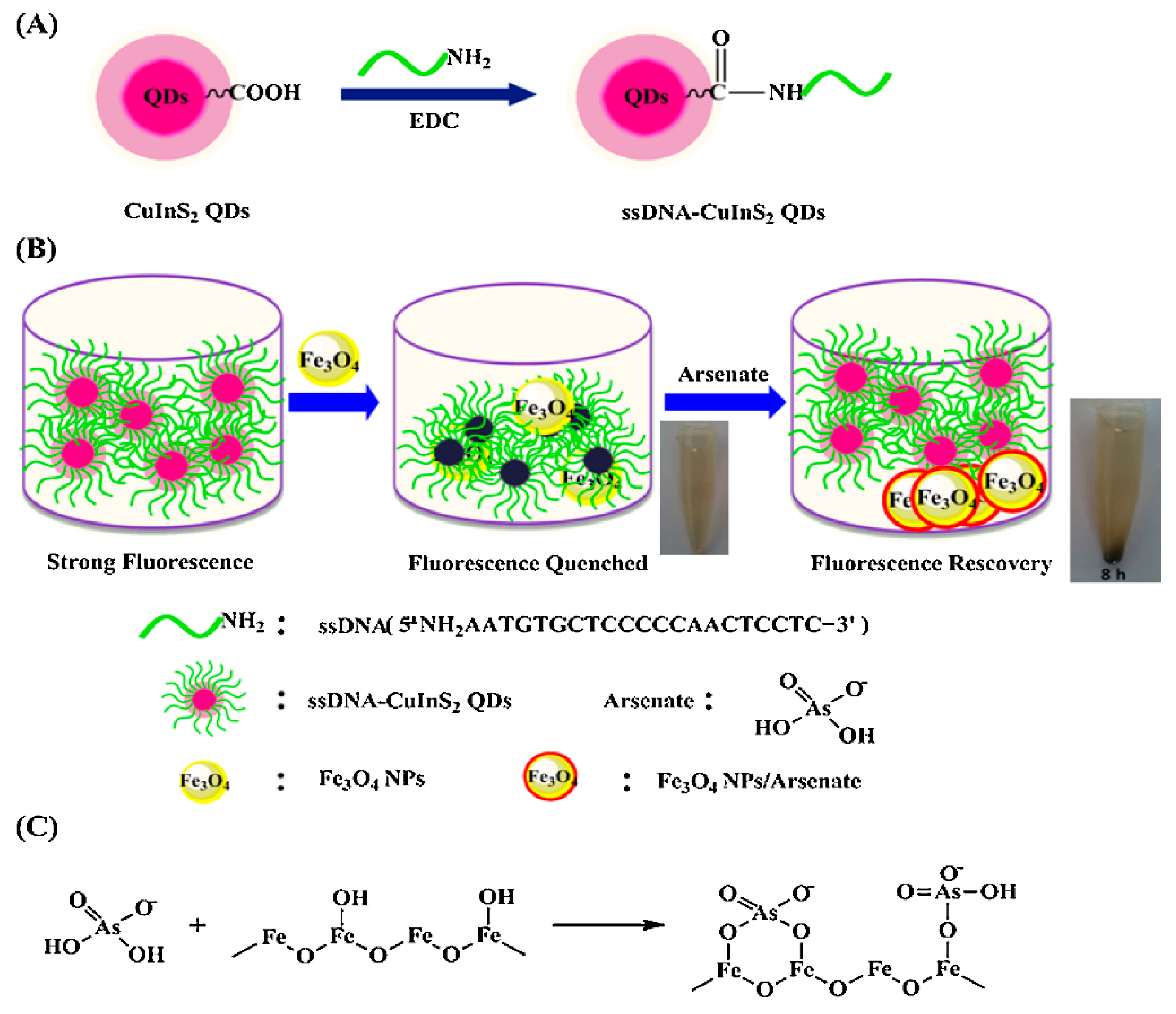 Toxics 09 00143 g008