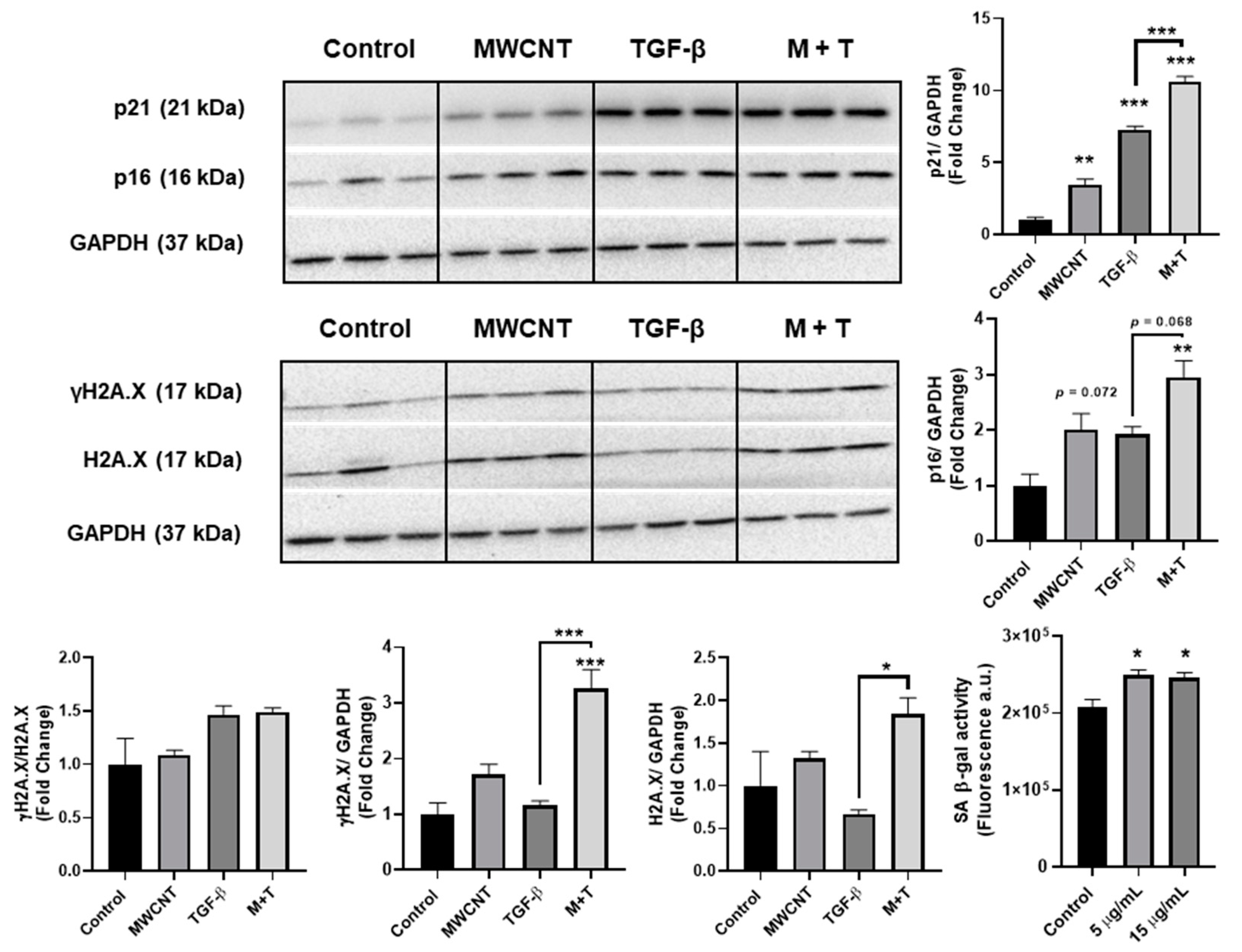 Toxics 09 00144 g002