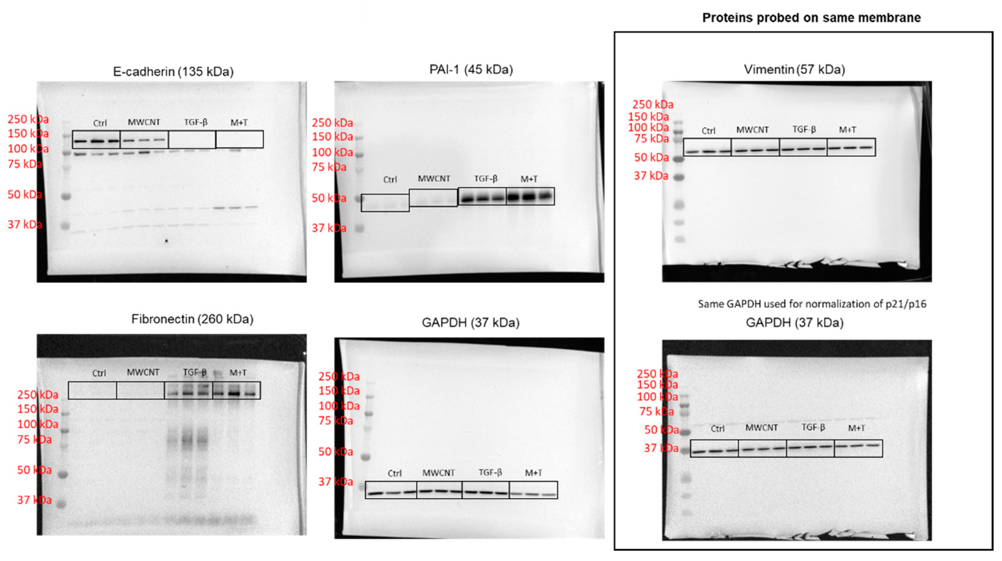 Toxics 09 00144 g0a2