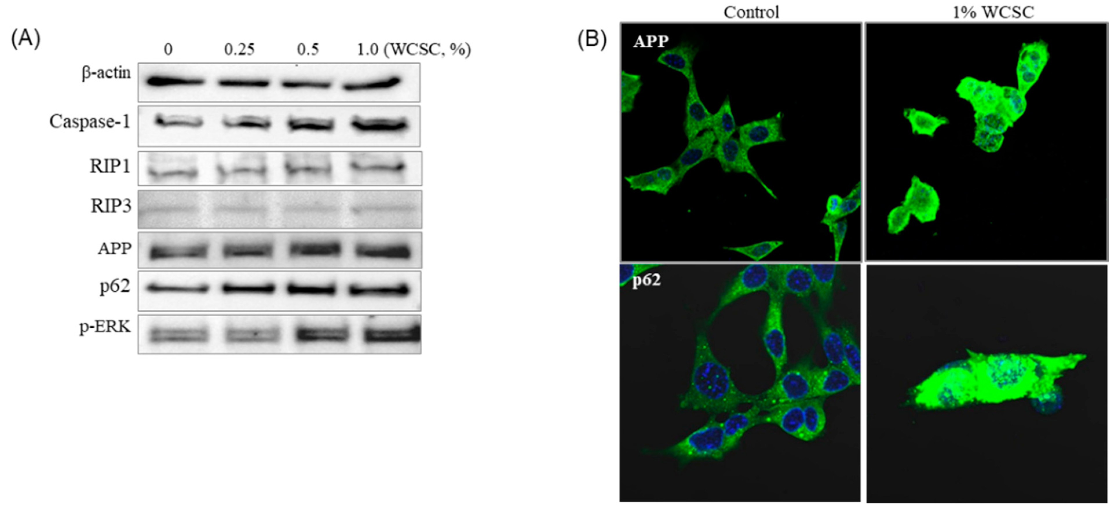 Toxics 09 00150 g008