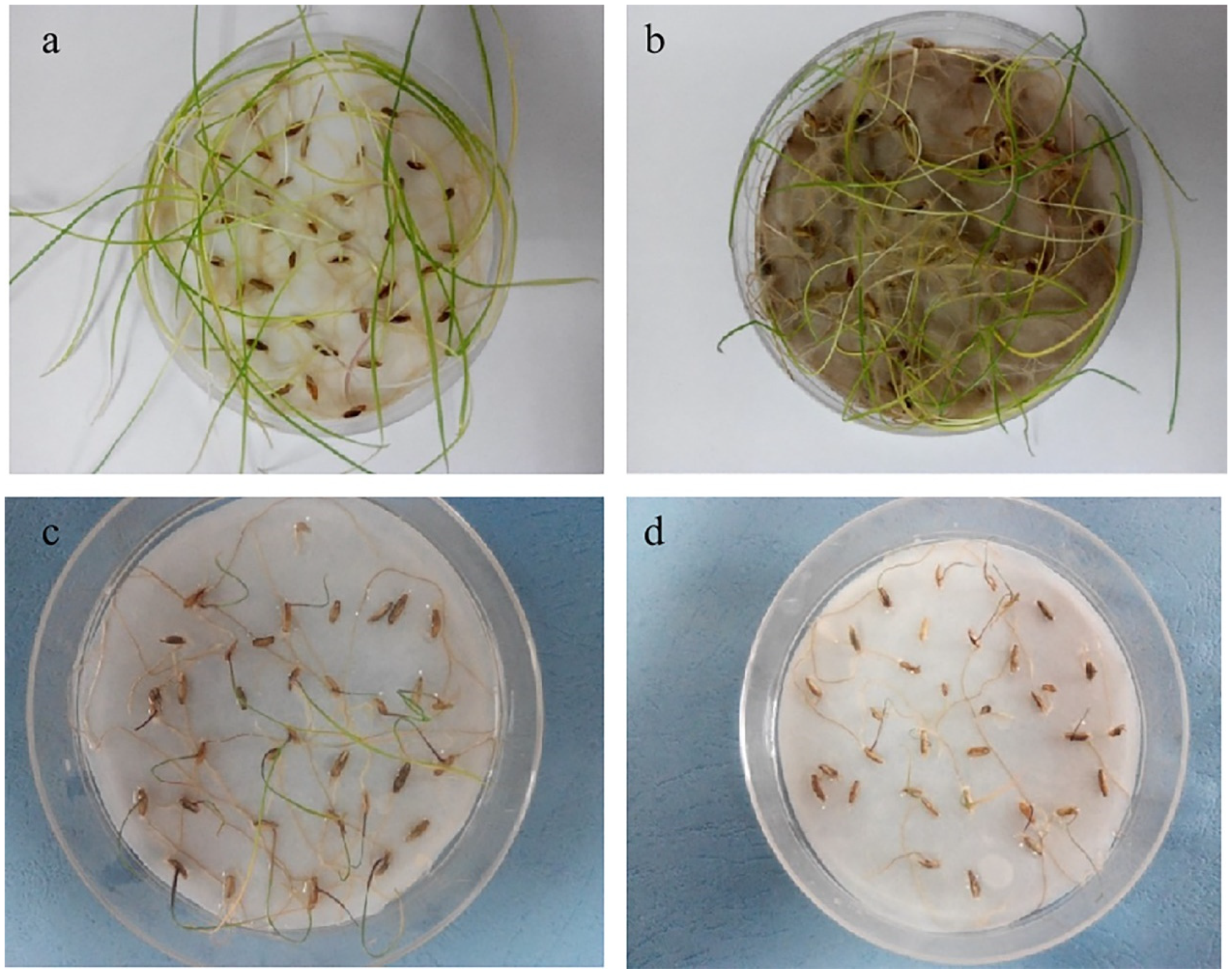 Toxics 09 00151 g005 550