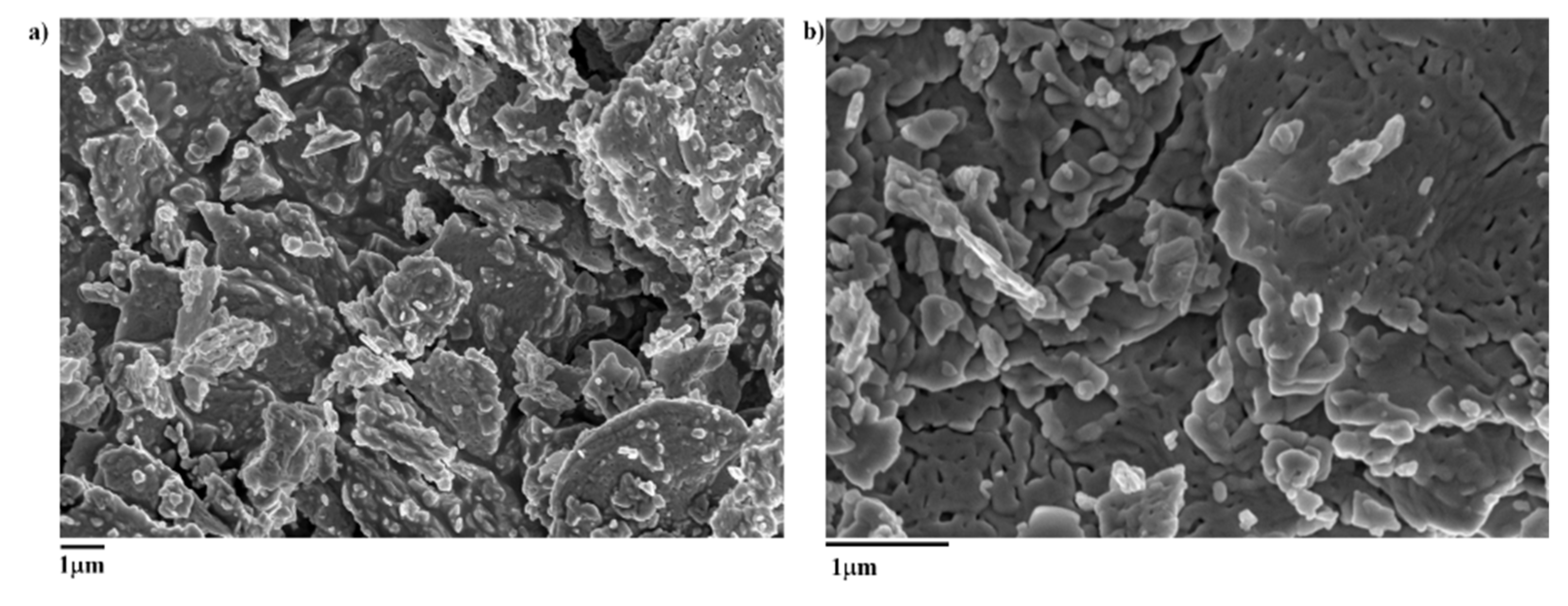 Toxics 09 00158 g002