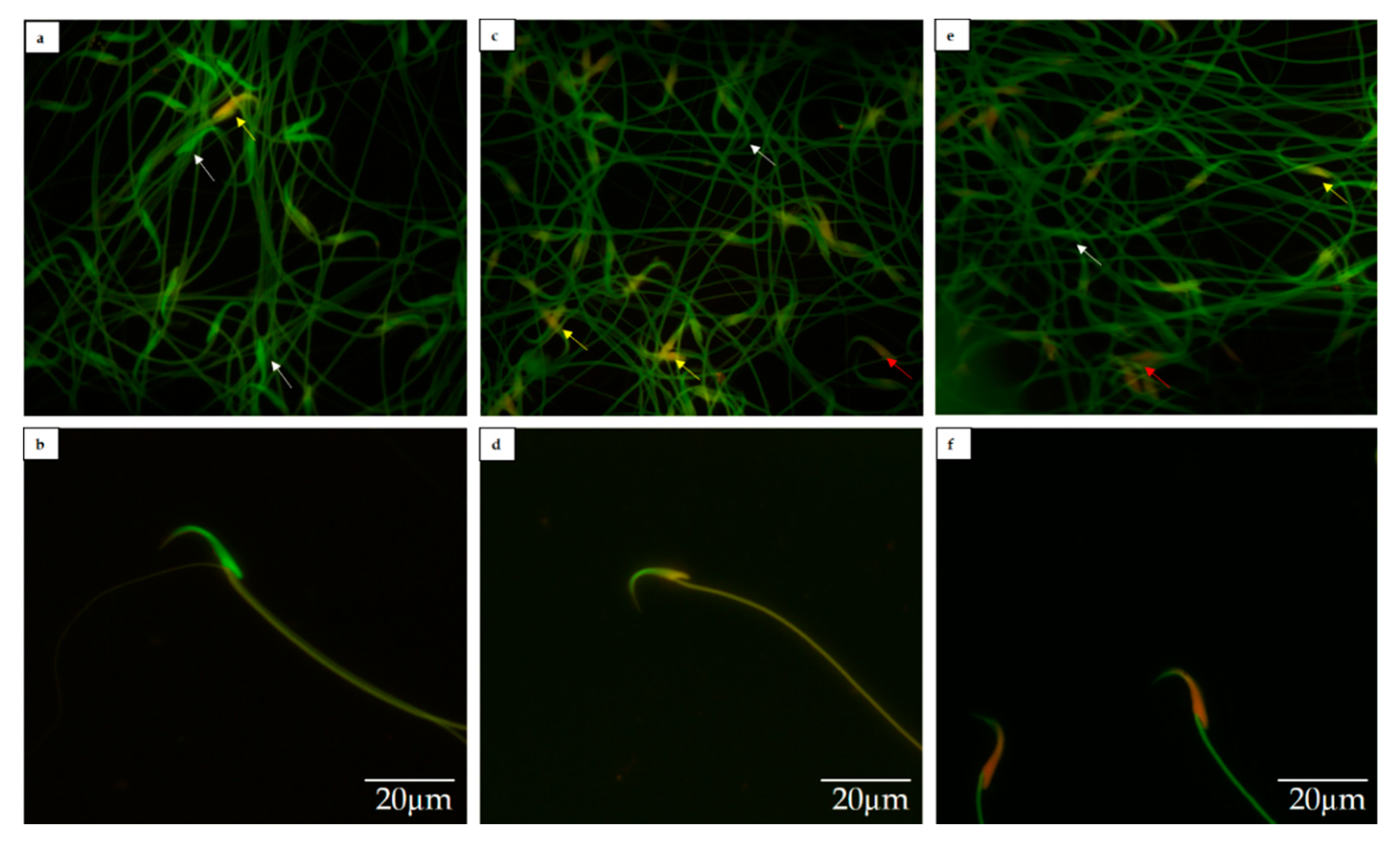Toxics 09 00159 g002