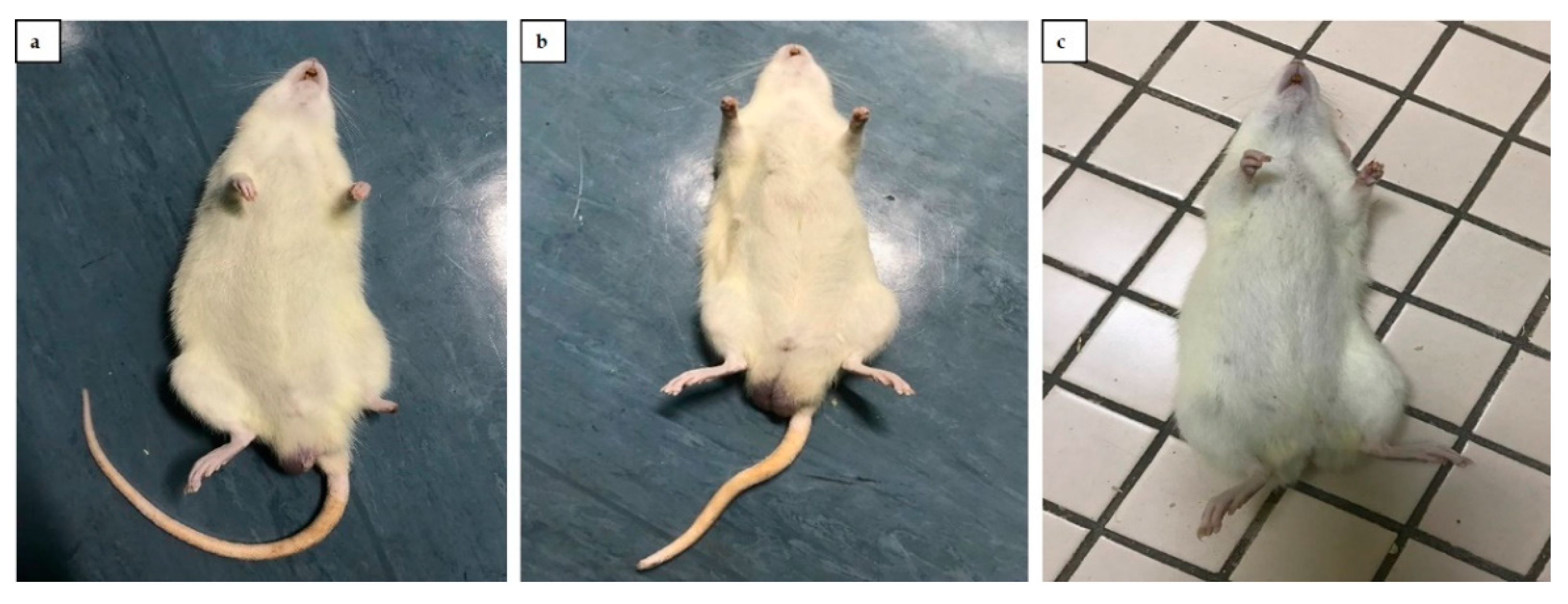 Toxics 09 00159 g003