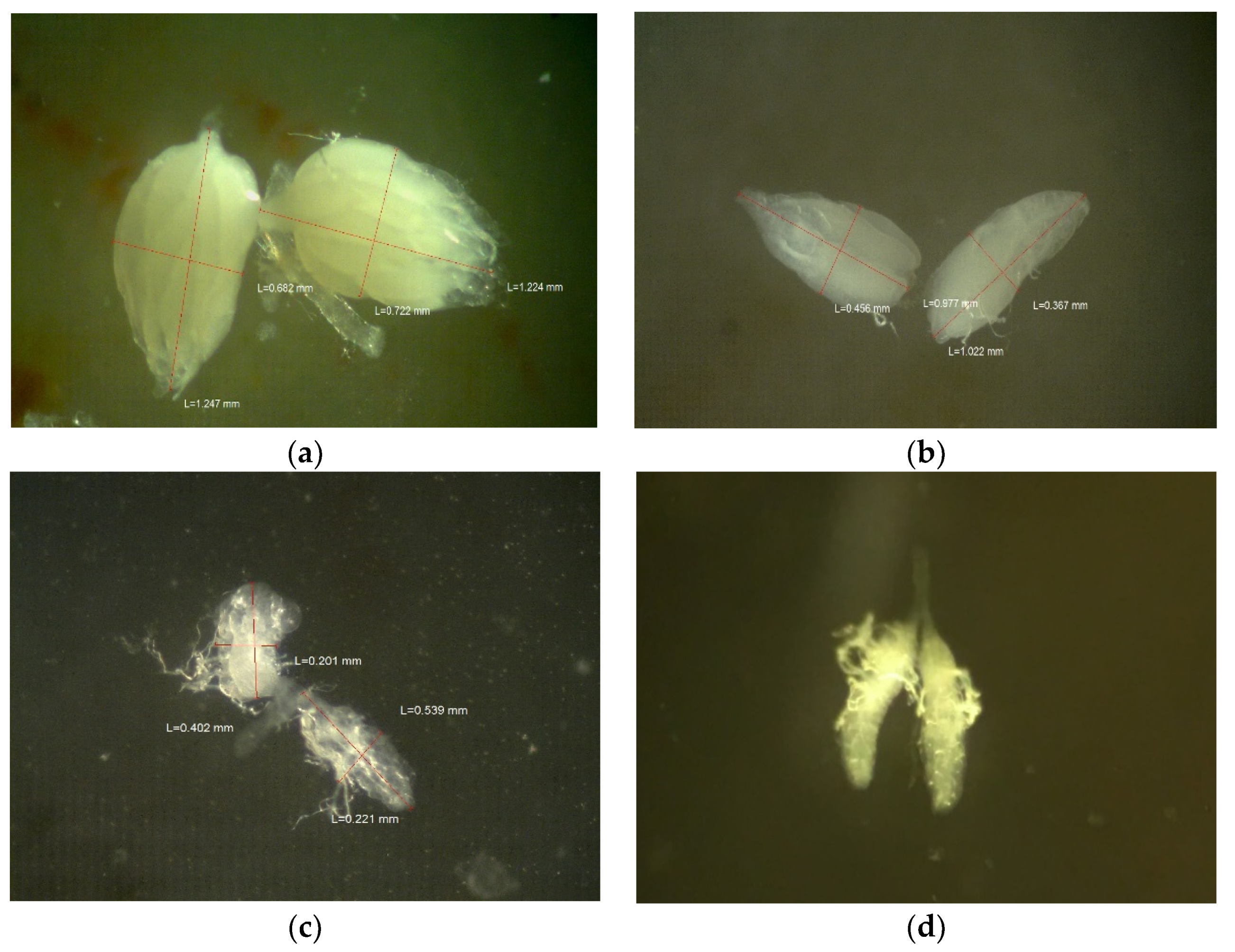 Toxics 09 00161 g005 550