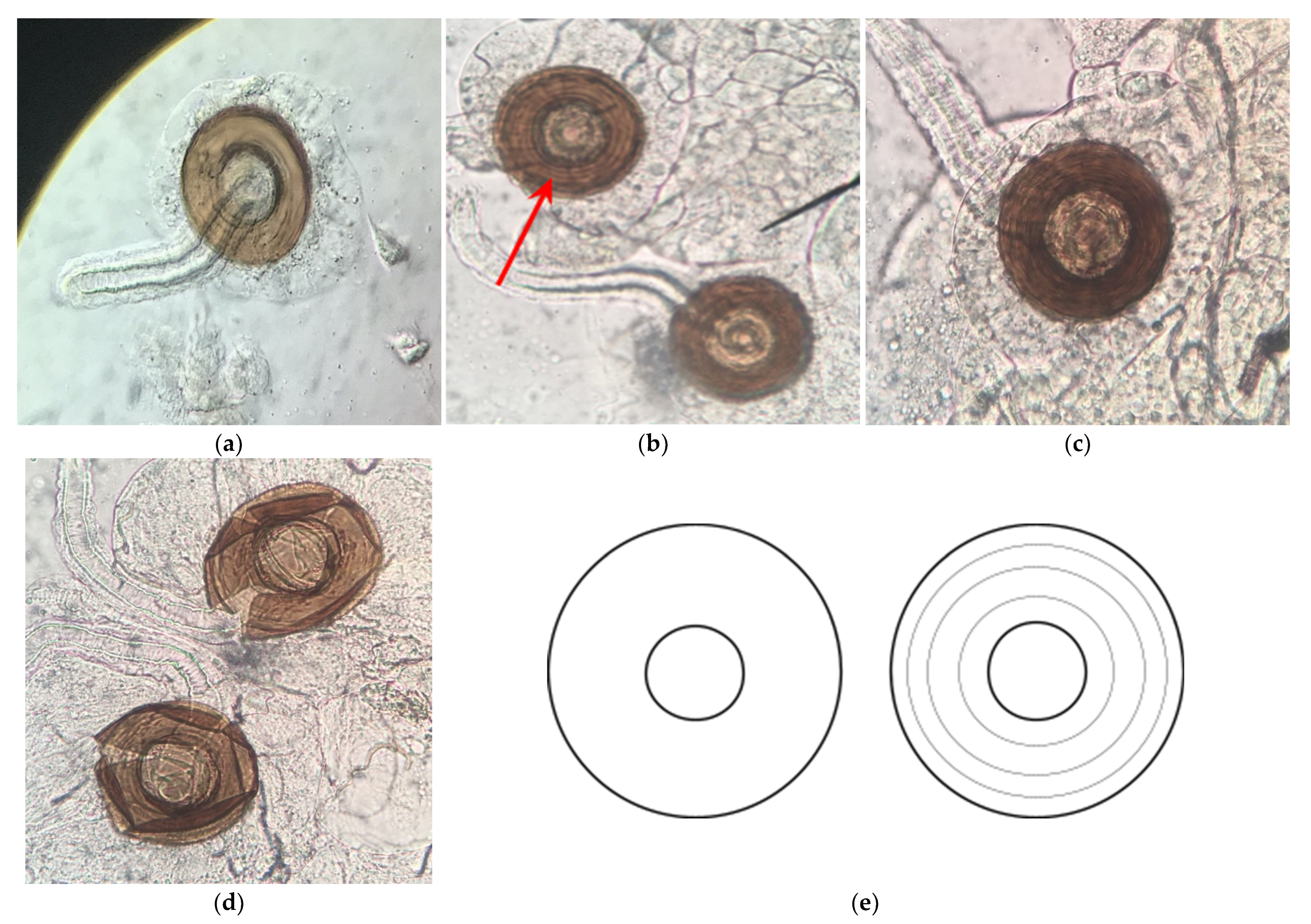 Toxics 09 00161 g008 550