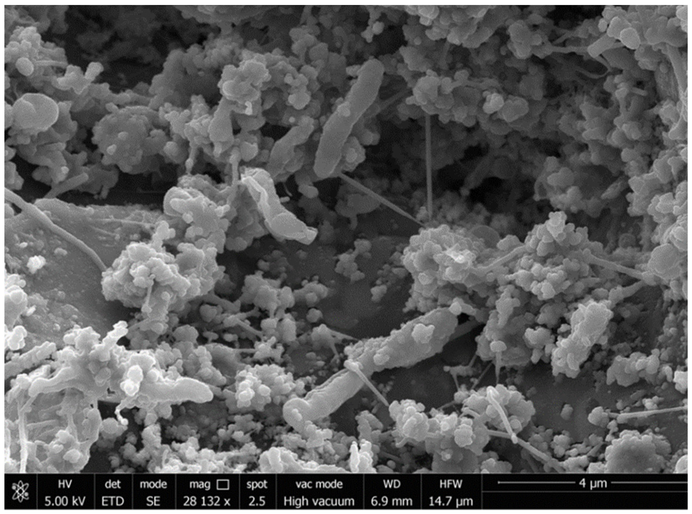 Toxics 09 00162 g002a 550