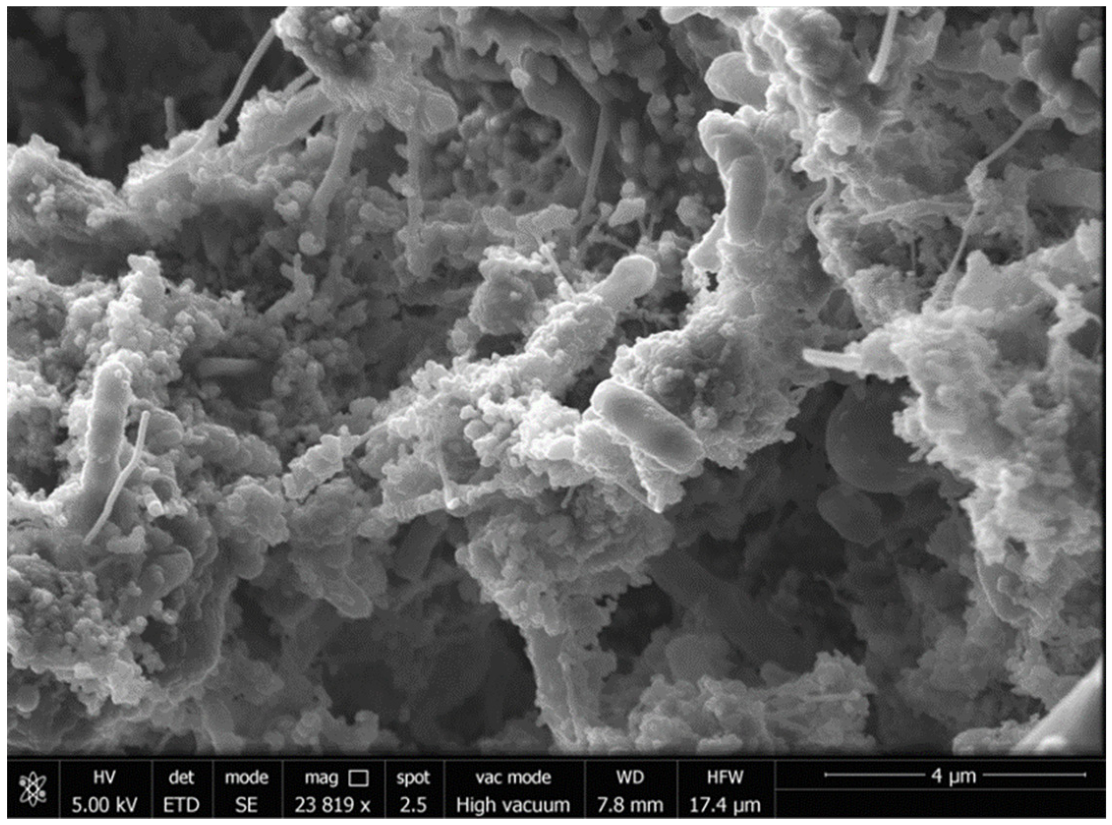 Toxics 09 00162 g002b 550