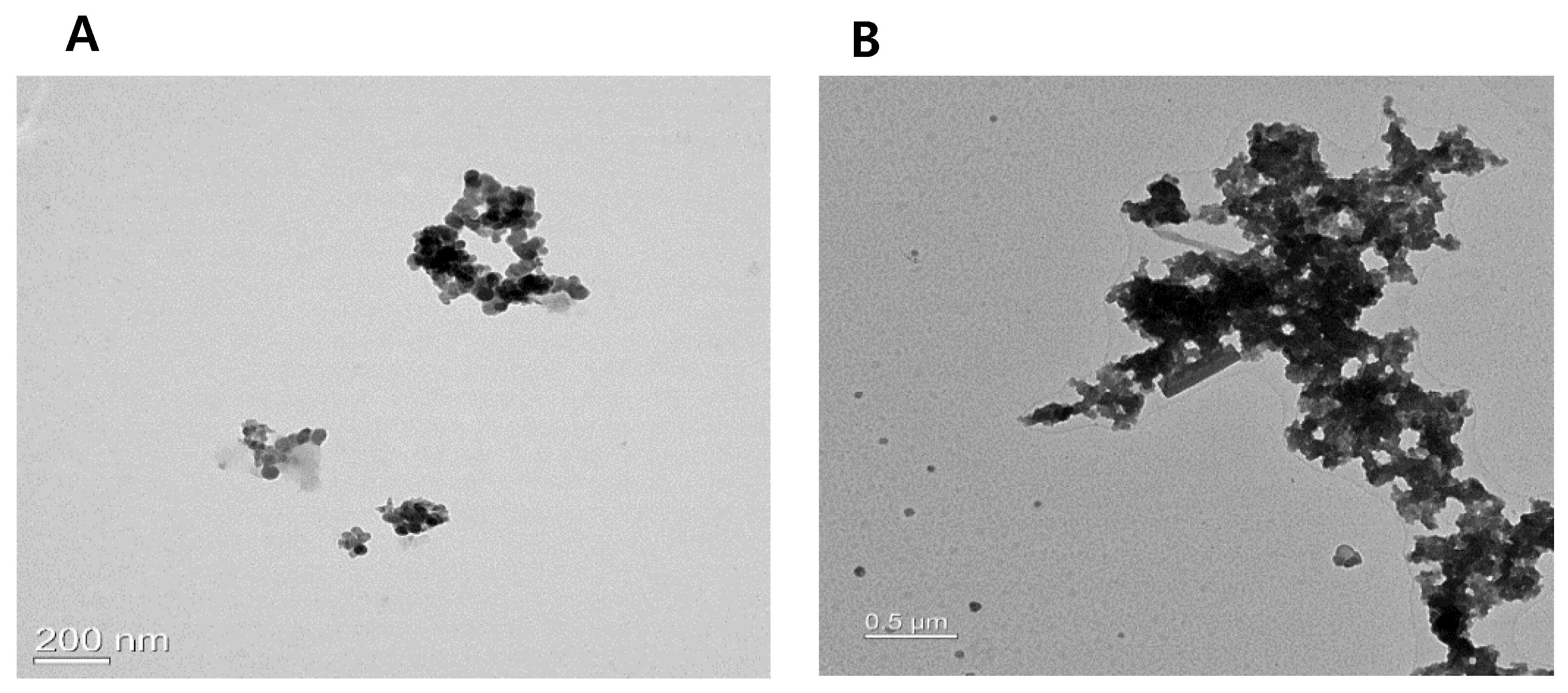 Toxics 09 00167 g001 550