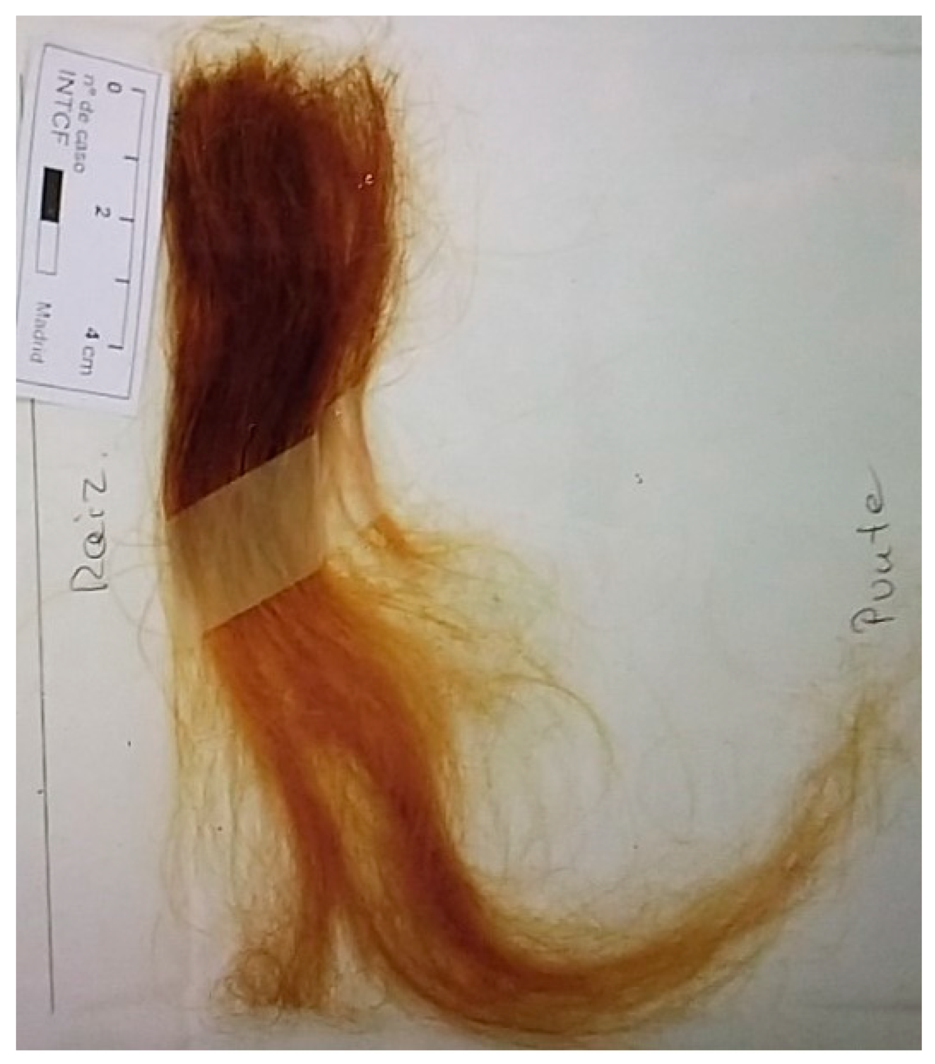 Toxics 09 00170 g001