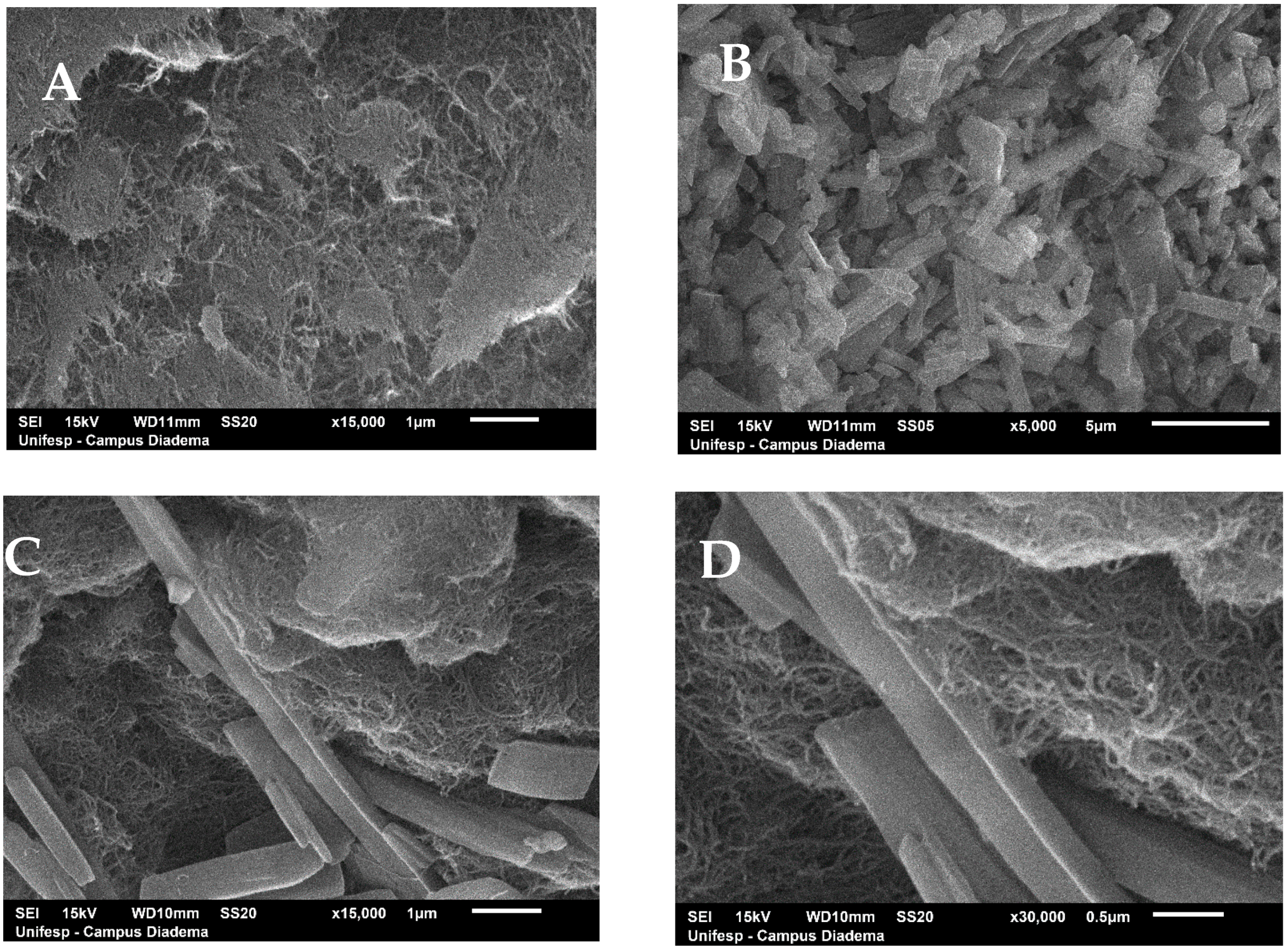 Toxics 09 00173 g002 550