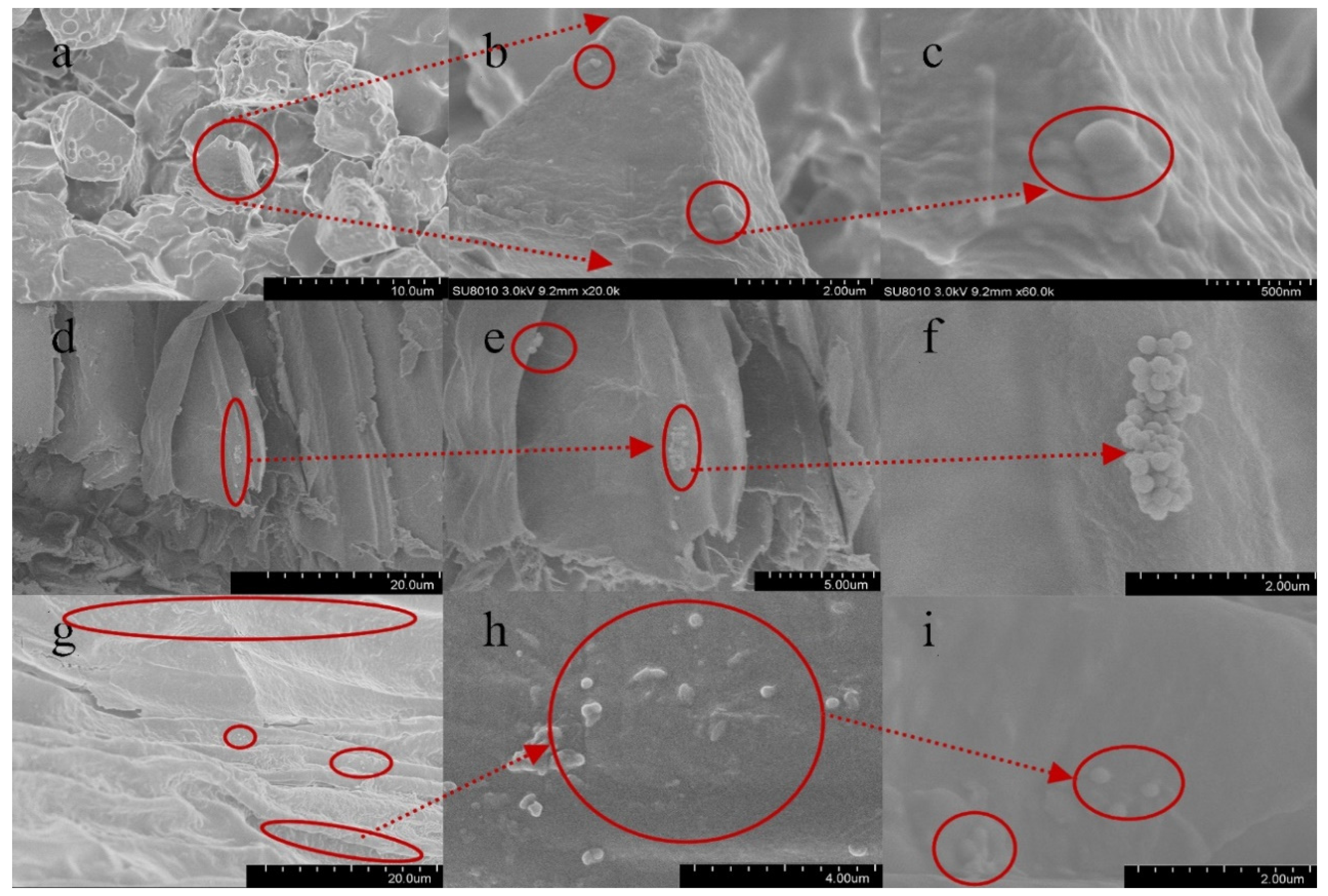 Toxics 09 00179 g004 550