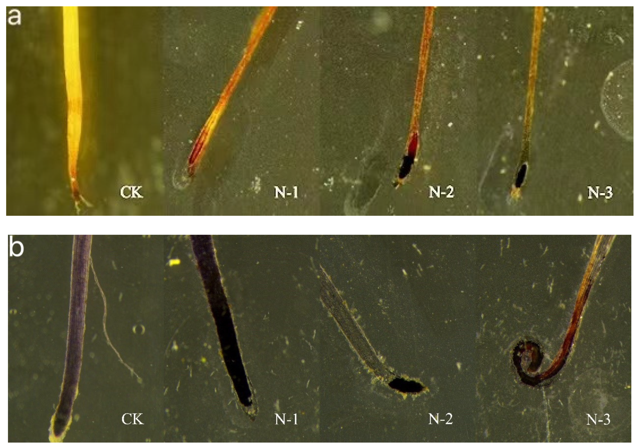 Toxics 09 00179 g005 550