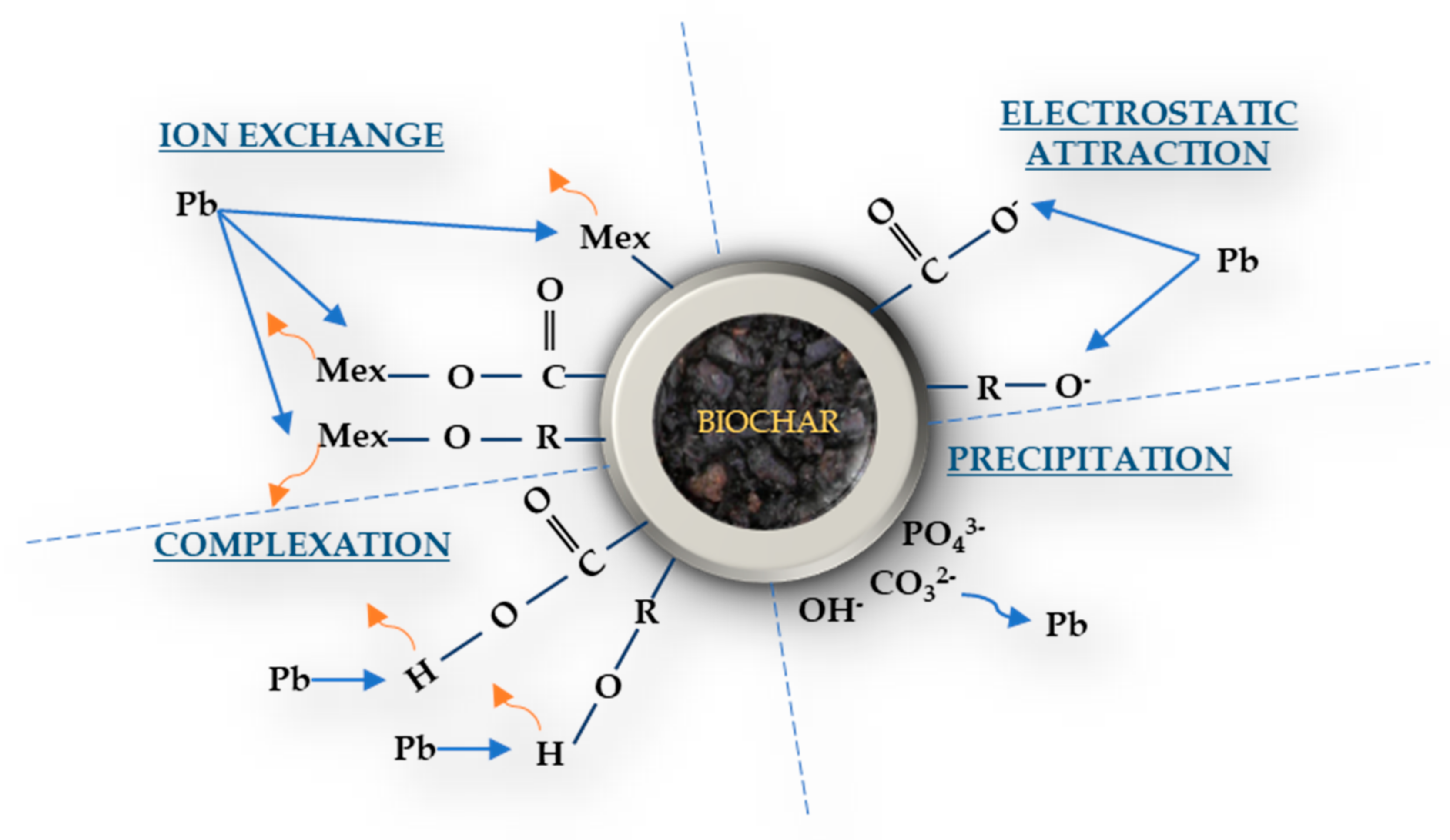 Toxics 09 00184 g004 550