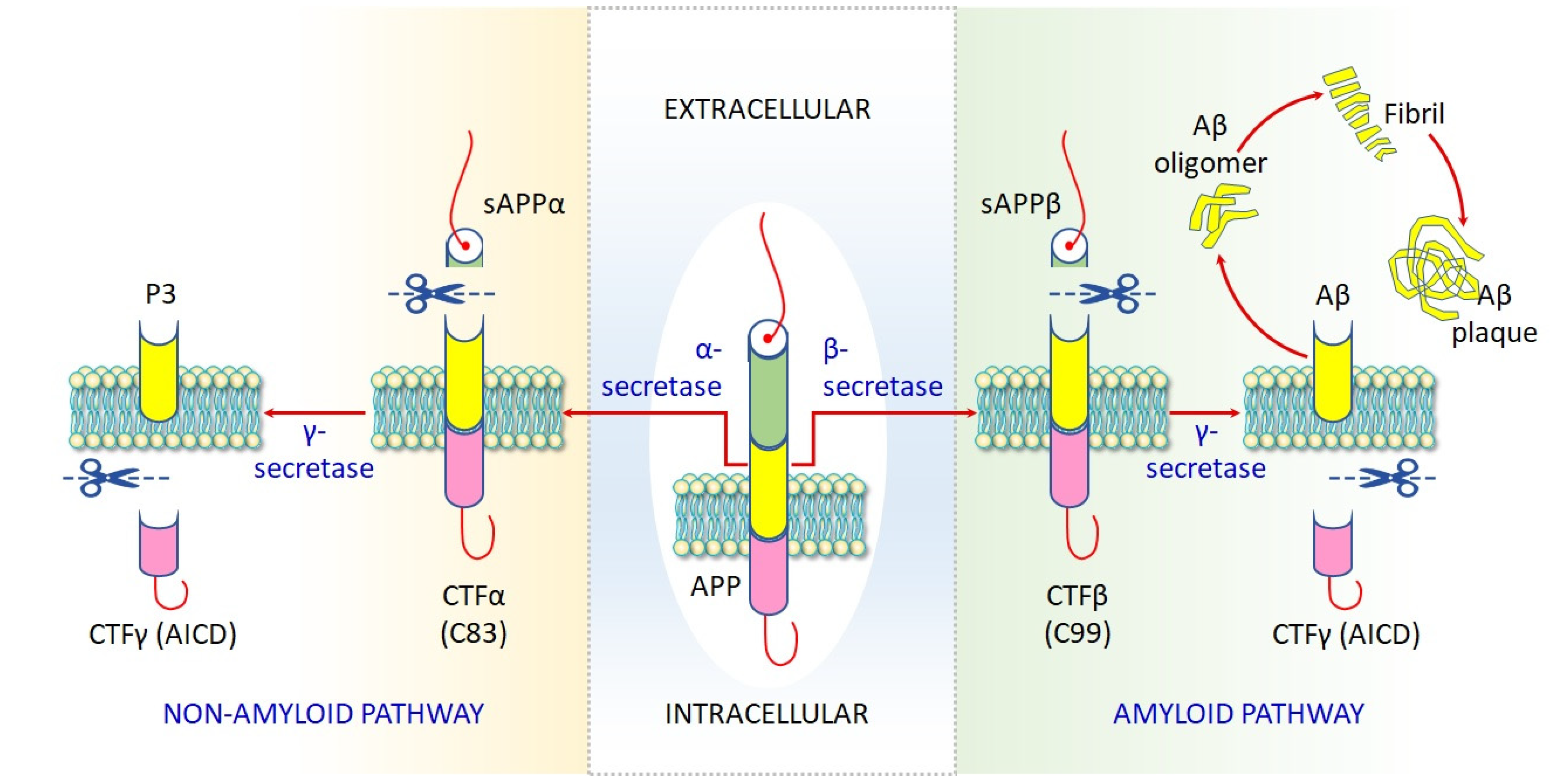 Toxics 09 00188 g001 550