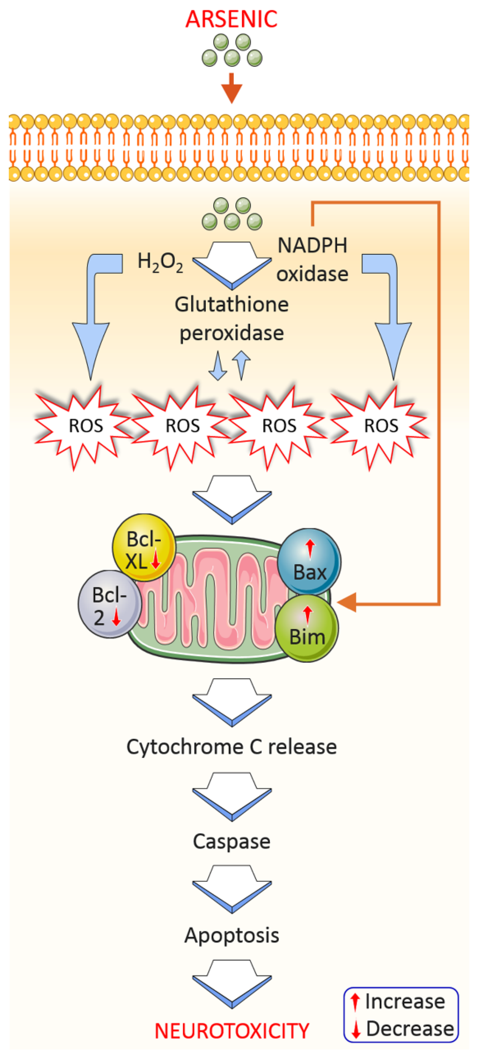 Toxics 09 00188 g004 550