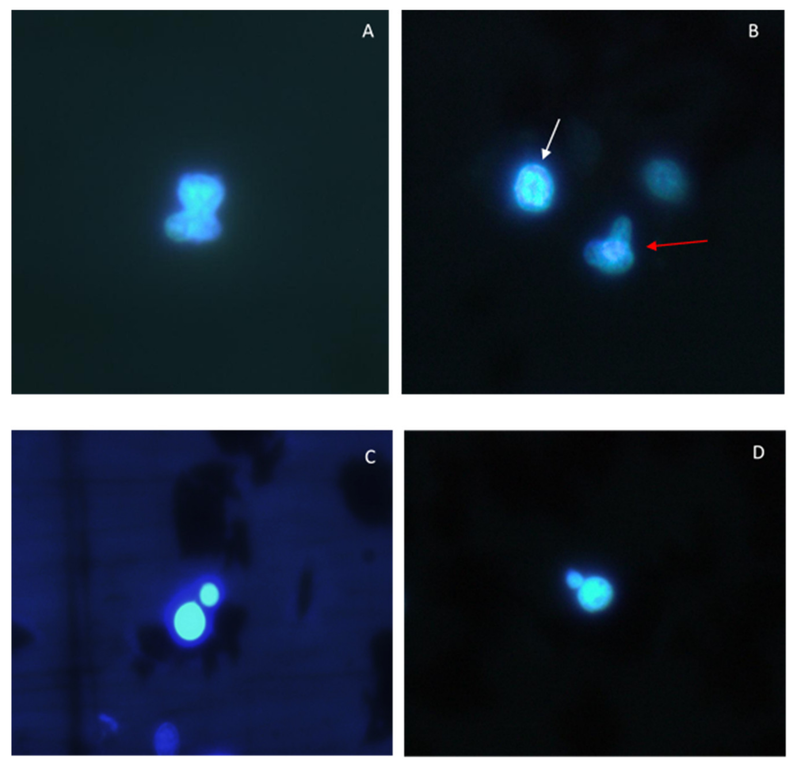 Toxics 09 00191 g004