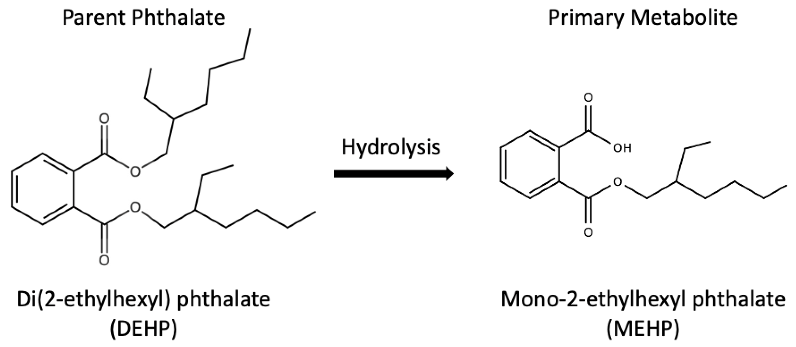 Toxics 09 00193 g002