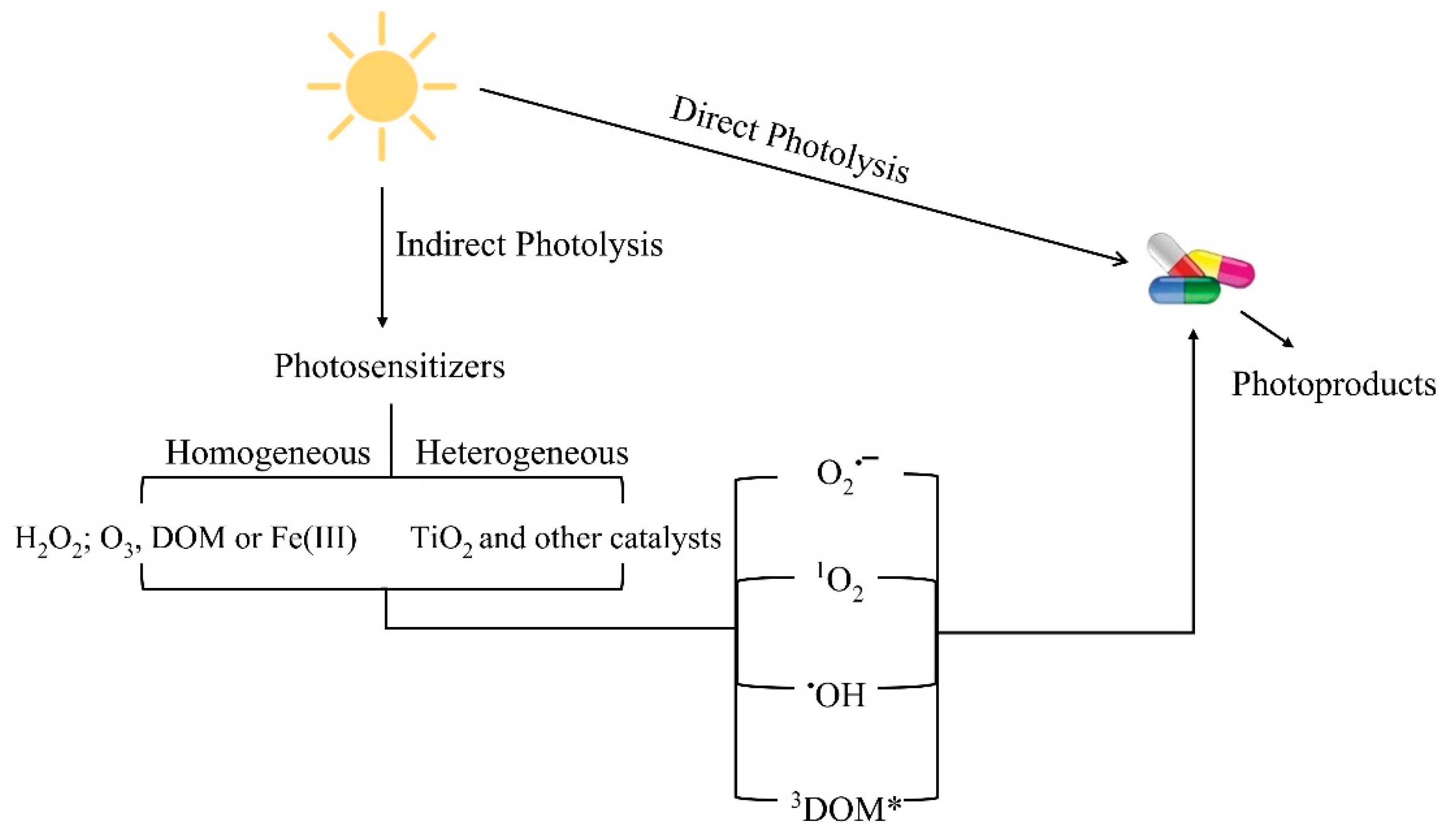 Toxics 09 00194 g001 550