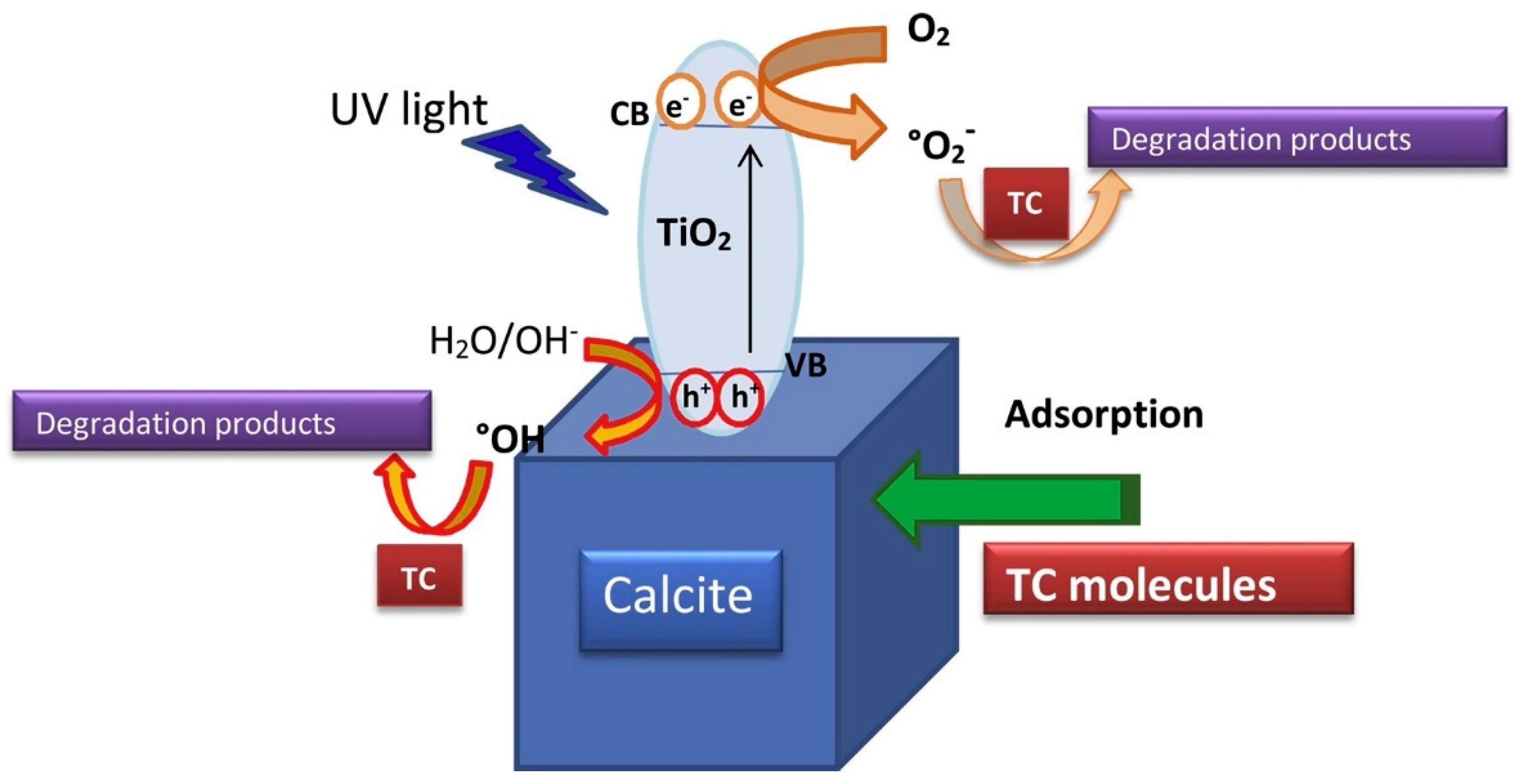 Toxics 09 00194 g004 550