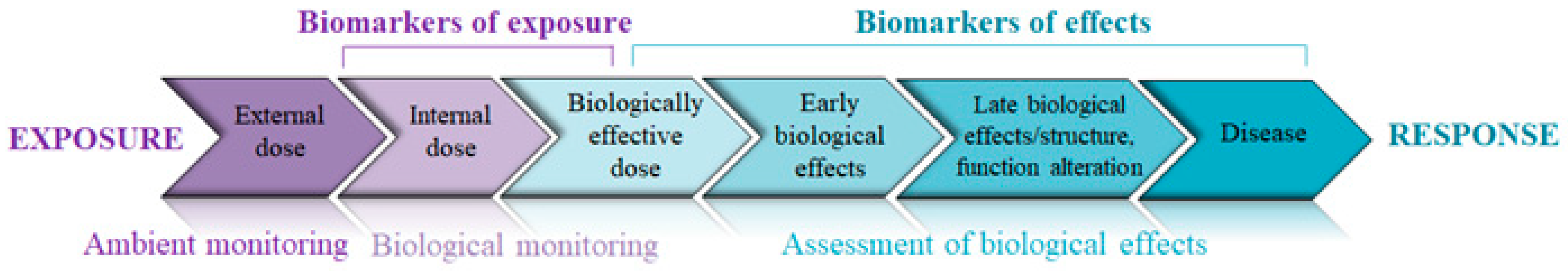 Toxics 09 00204 g001 Toxics 09 00204 g001