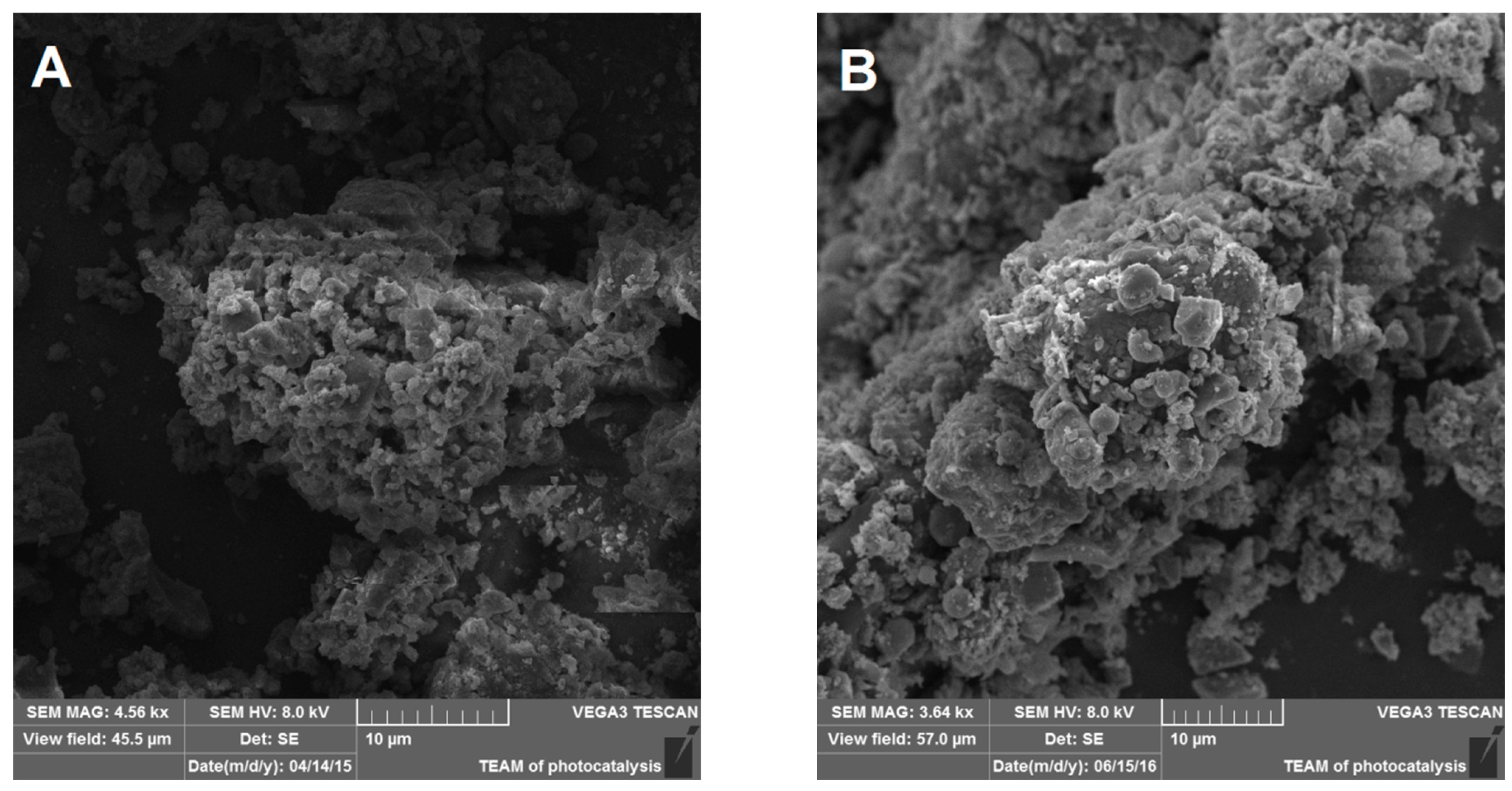 Toxics 09 00205 g001
