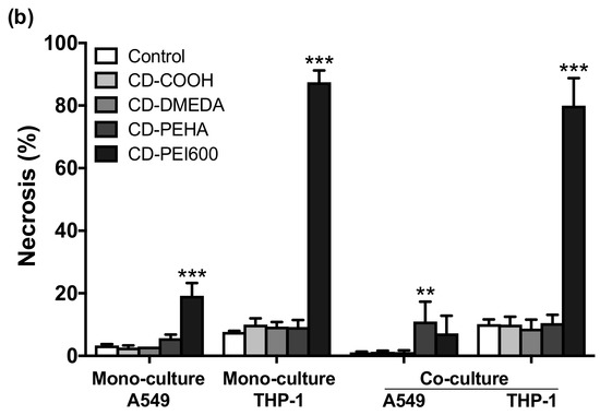 A Co-Culture Model of the Human Respiratory Tract to