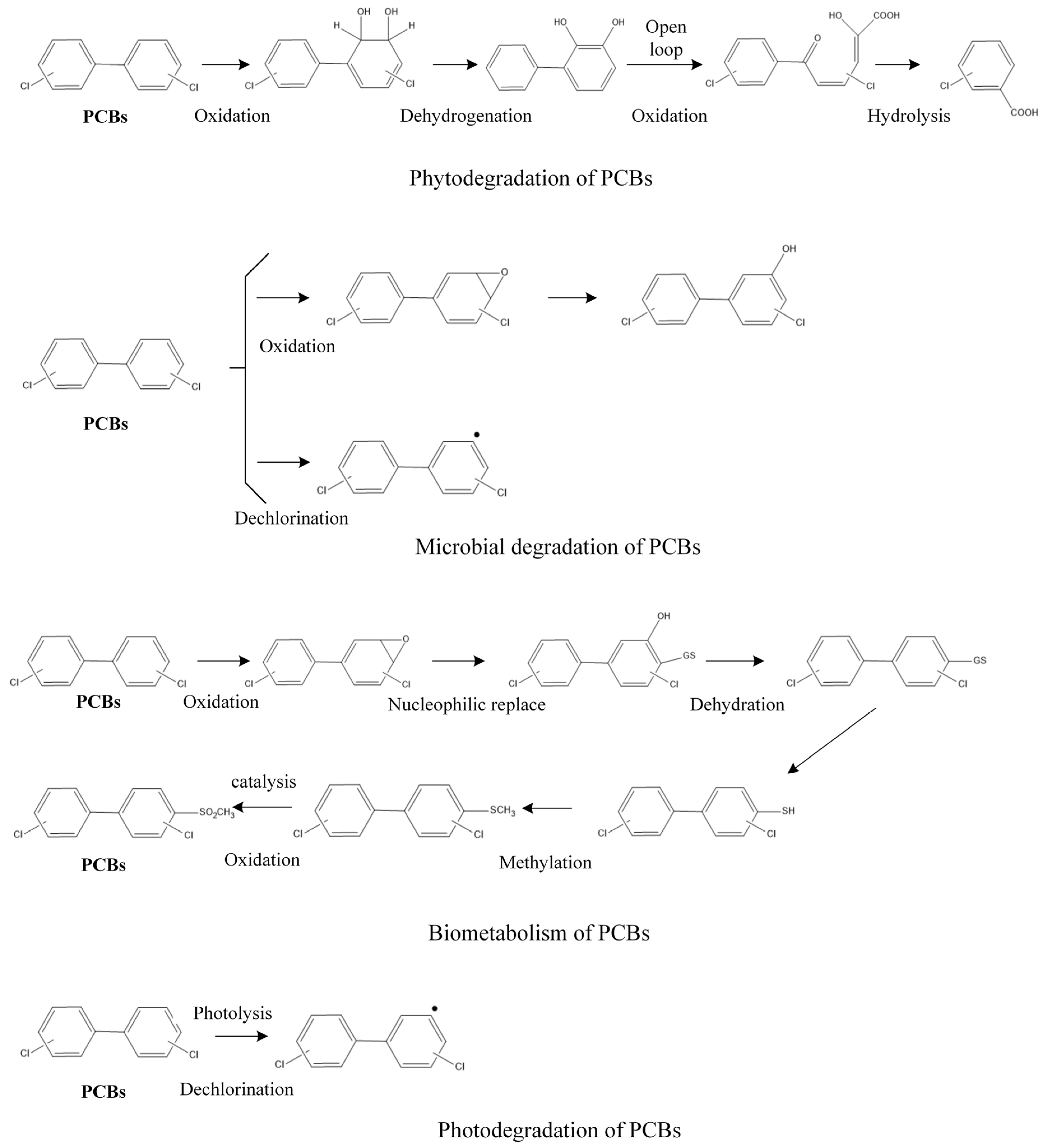Toxics 09 00213 g001