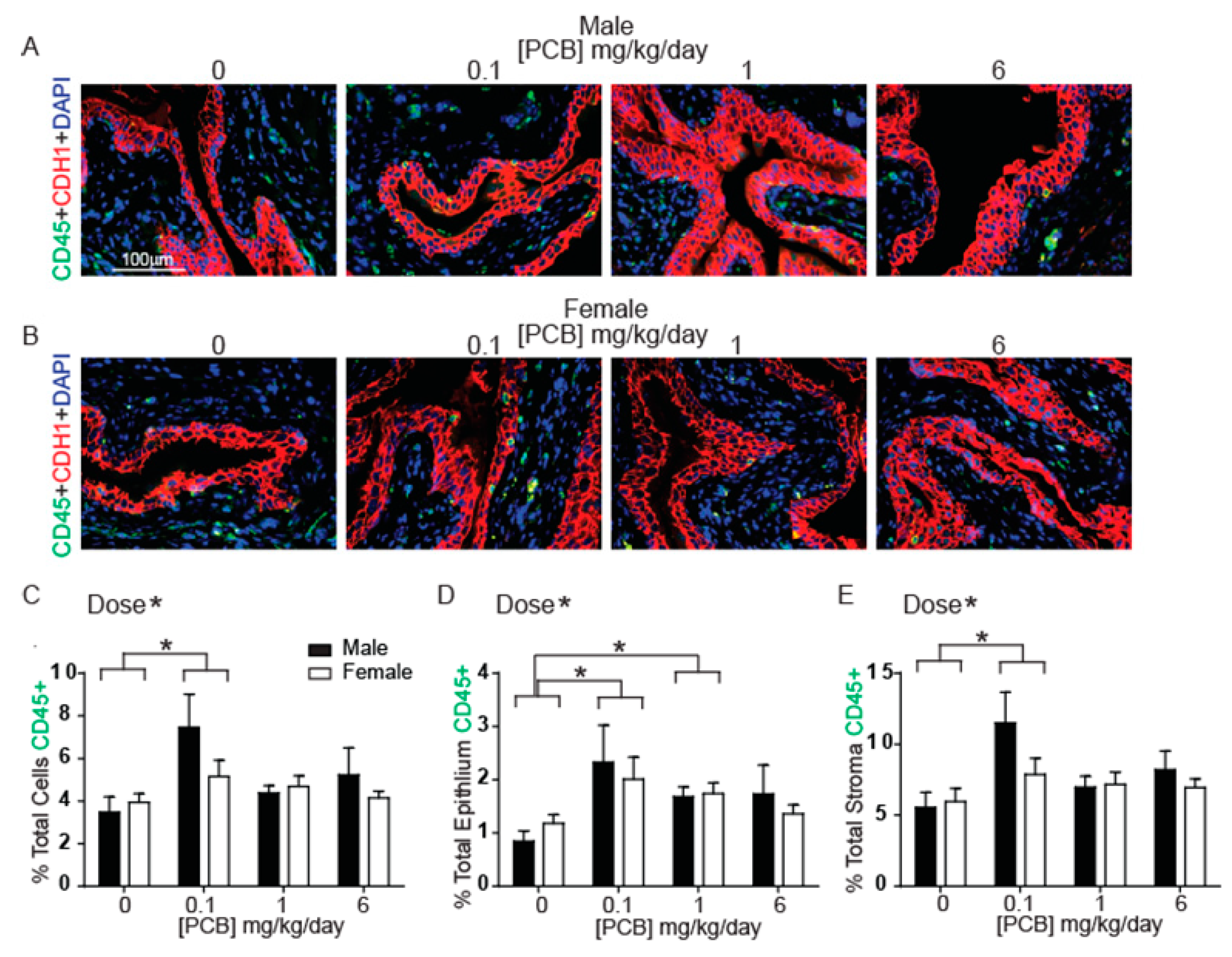 Toxics 09 00214 g001 550