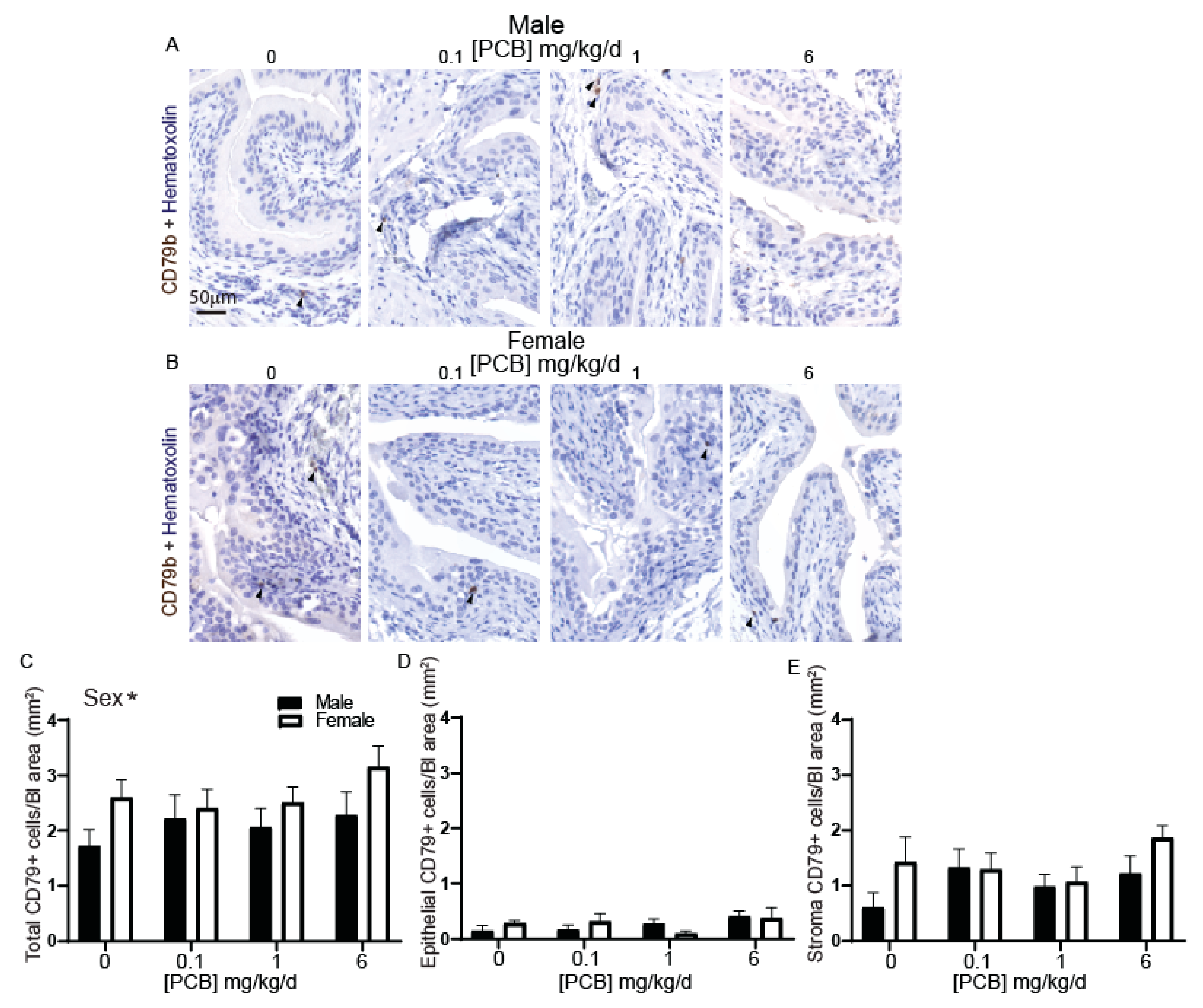 Toxics 09 00214 g002 550